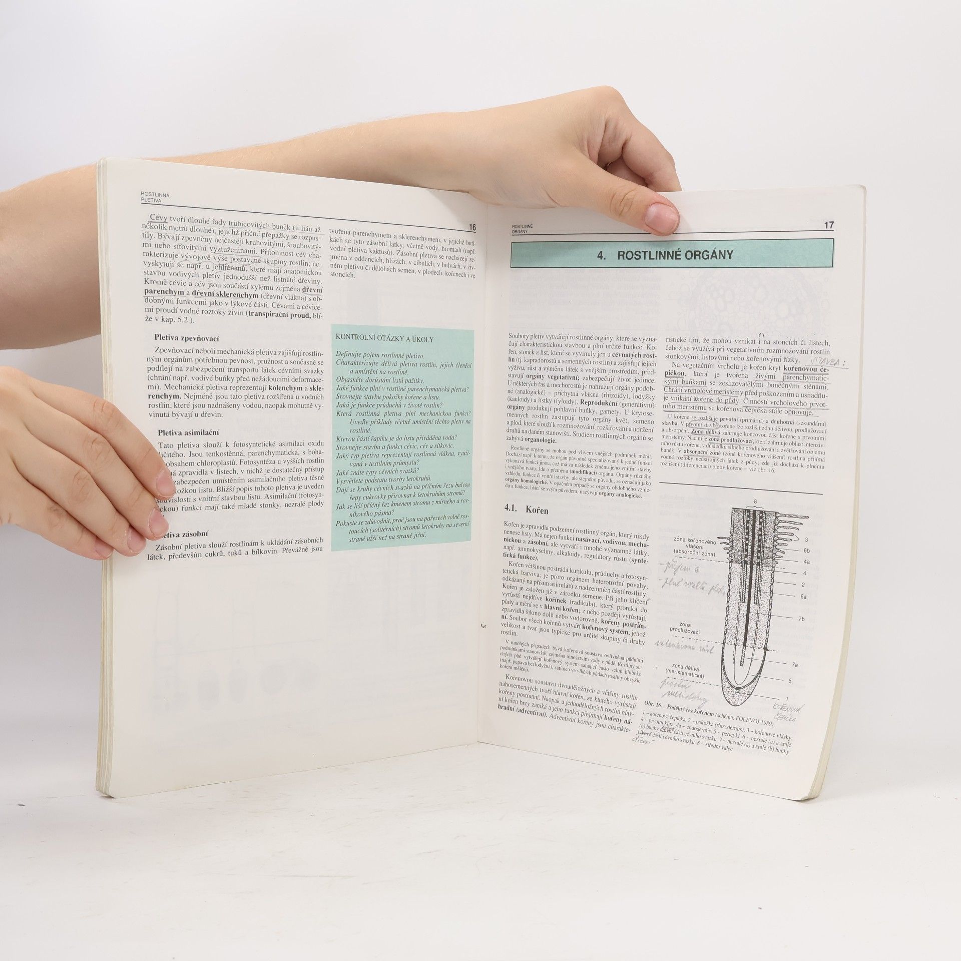 Autores varios Biologie rostlin. Pro 1. ročník gymnázií