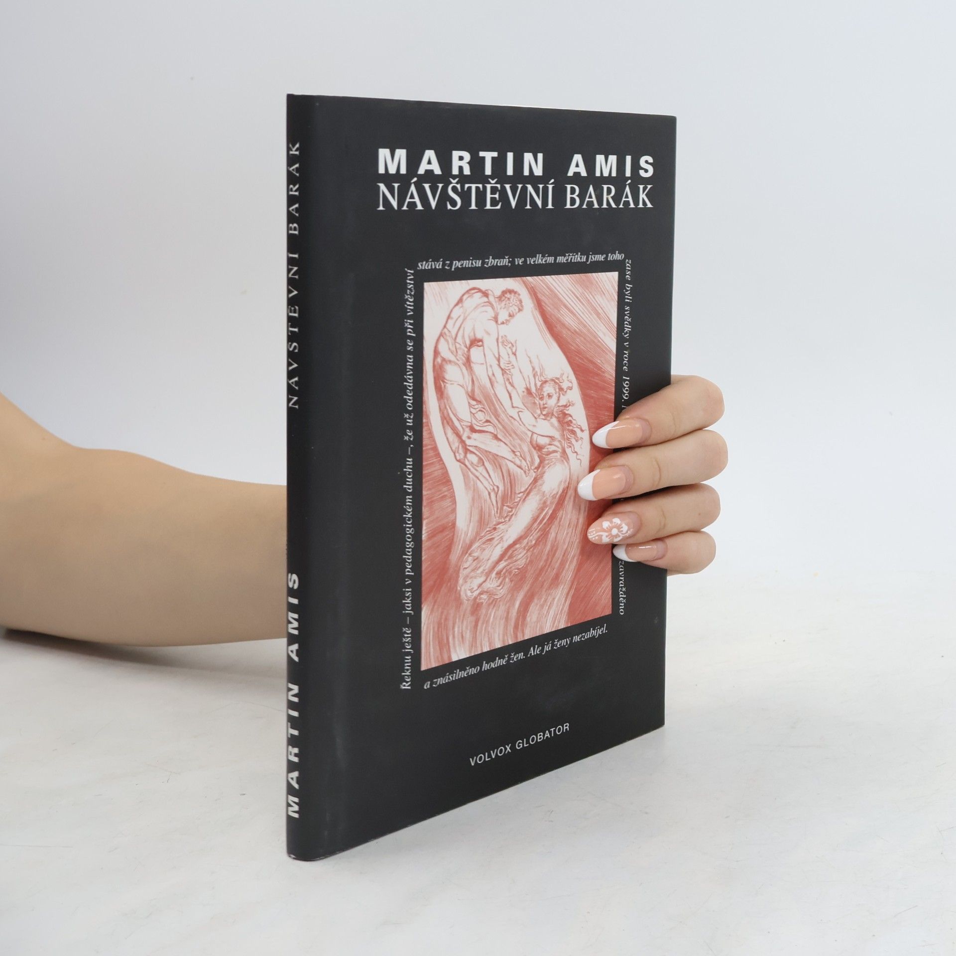 Martin Amis Návštěvní barák