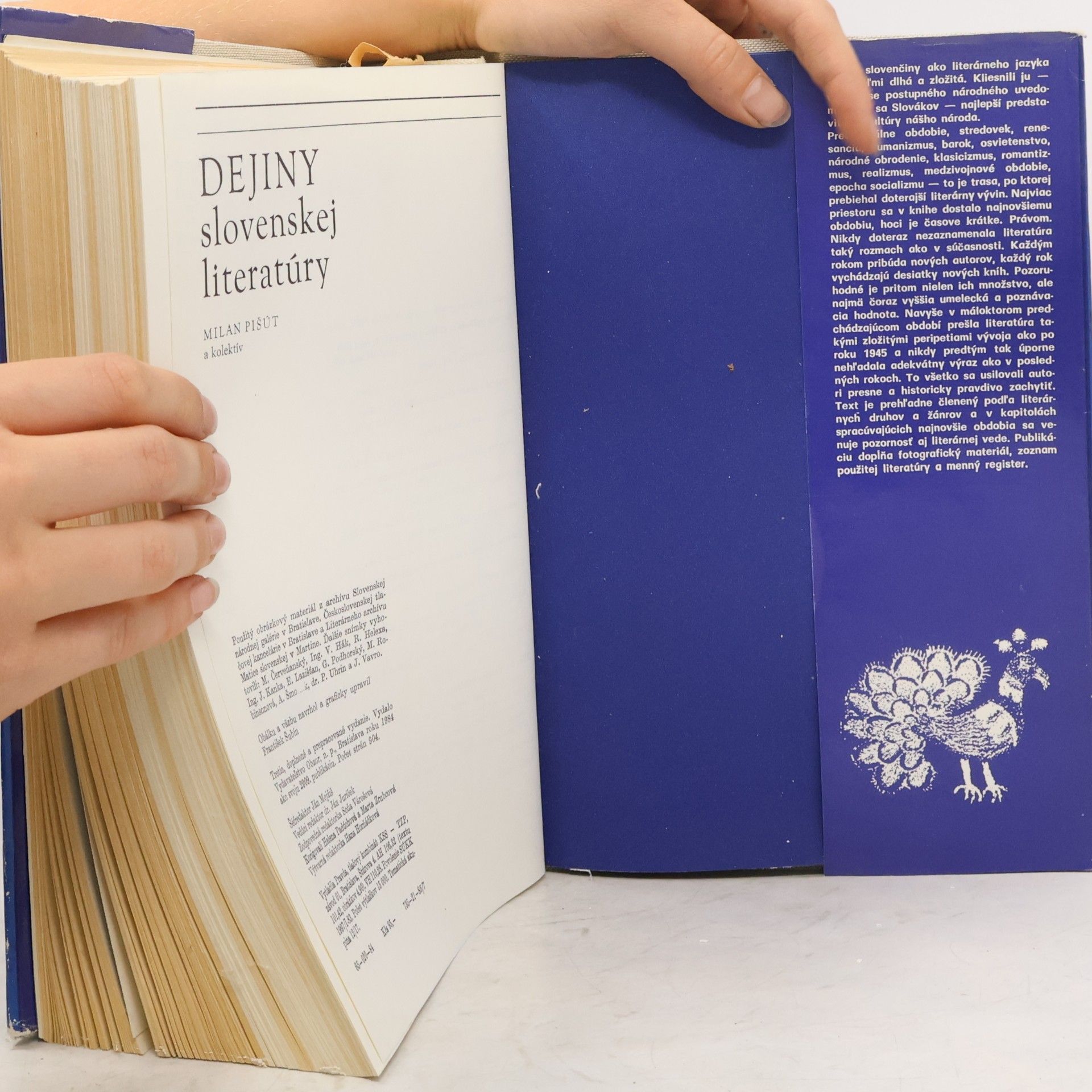 Milan Pišút Dejiny slovenskej literatúry