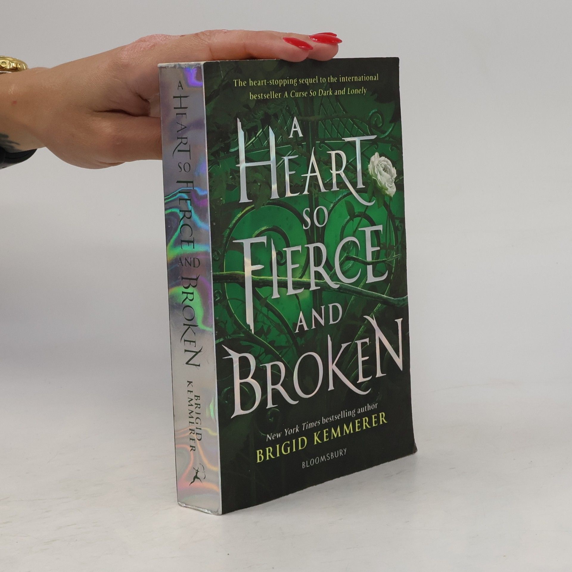 A Heart So Fierce and Broken