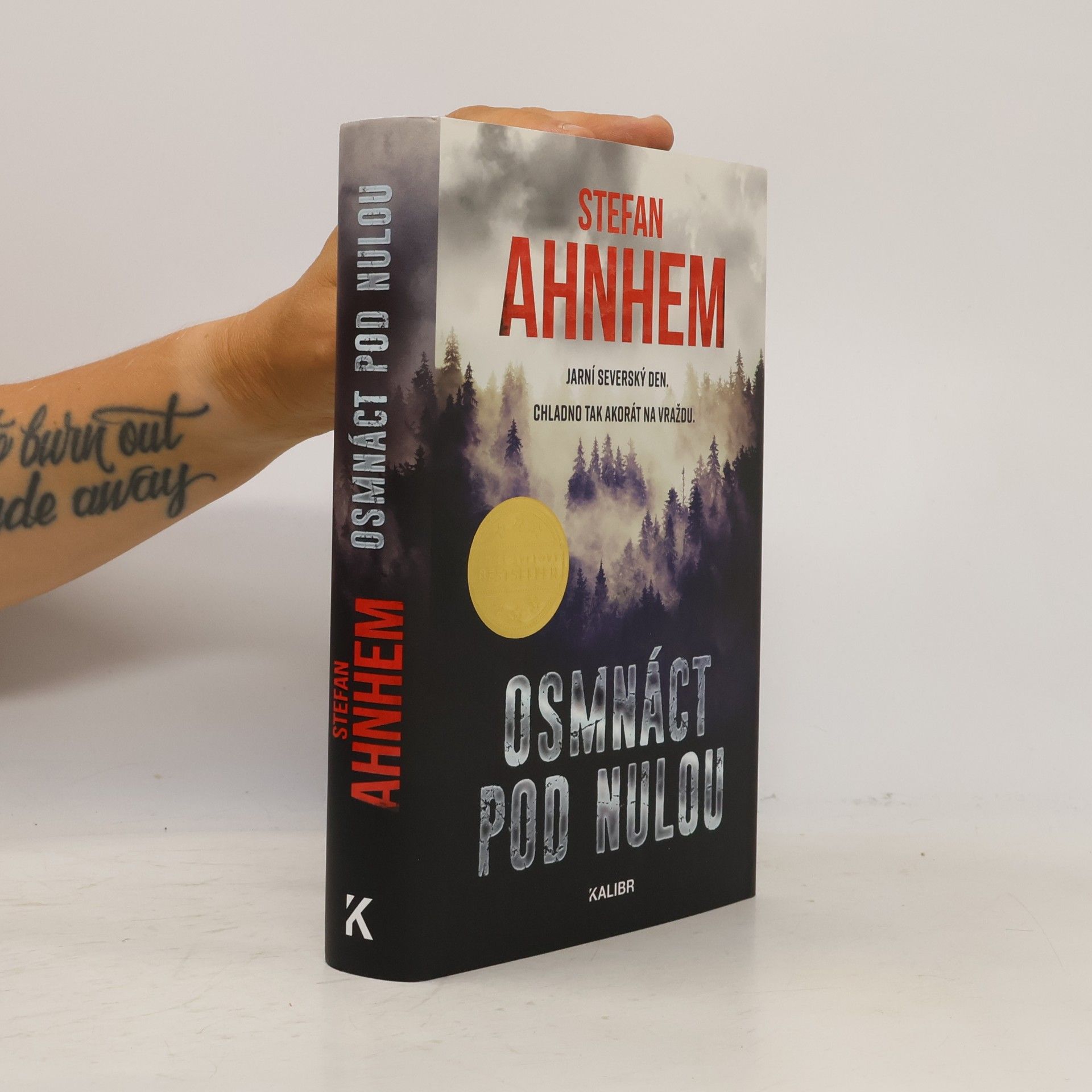 Stefan Ahnhem Osmnáct pod nulou