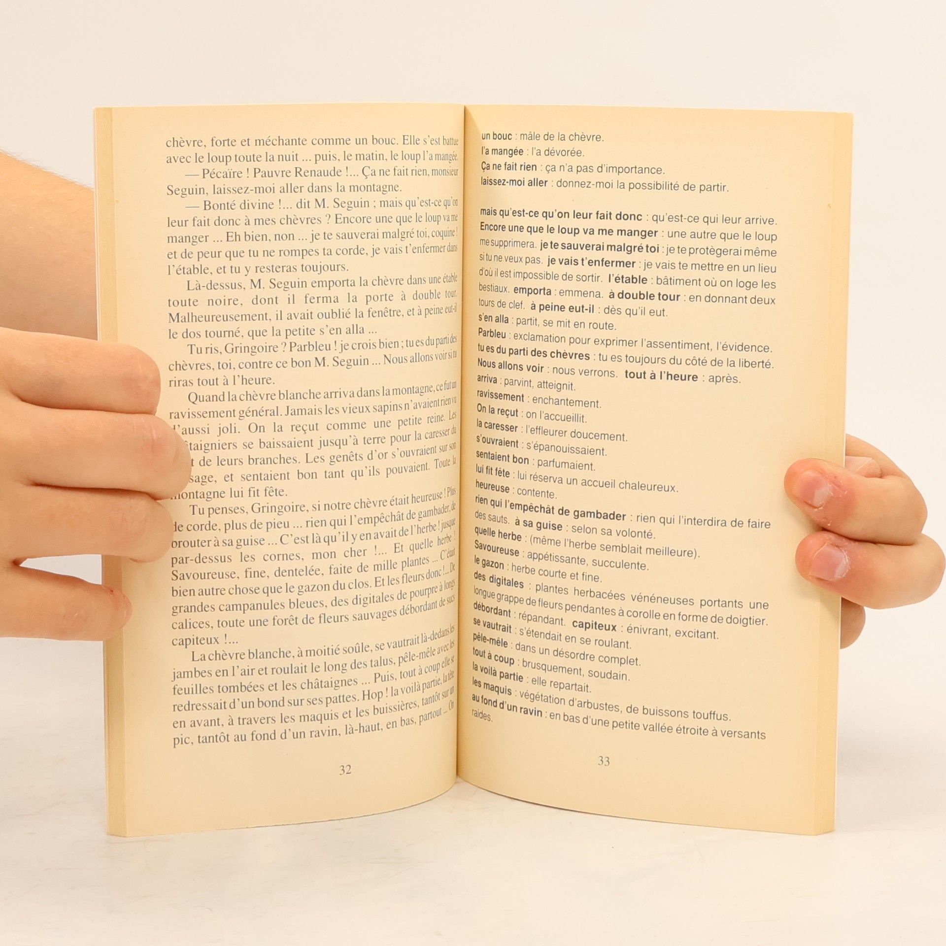 Alphonse Daudet Lettres de mon moulin