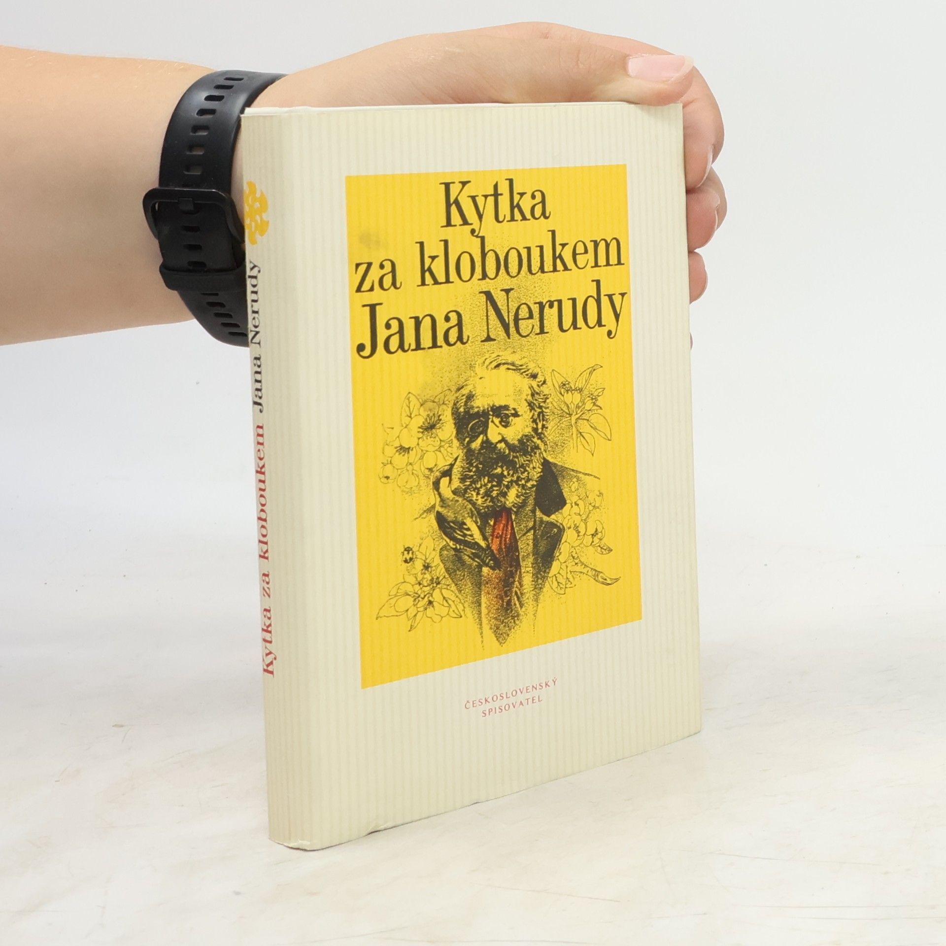 Jan Neruda Kytka za kloboukem Jana Nerudy