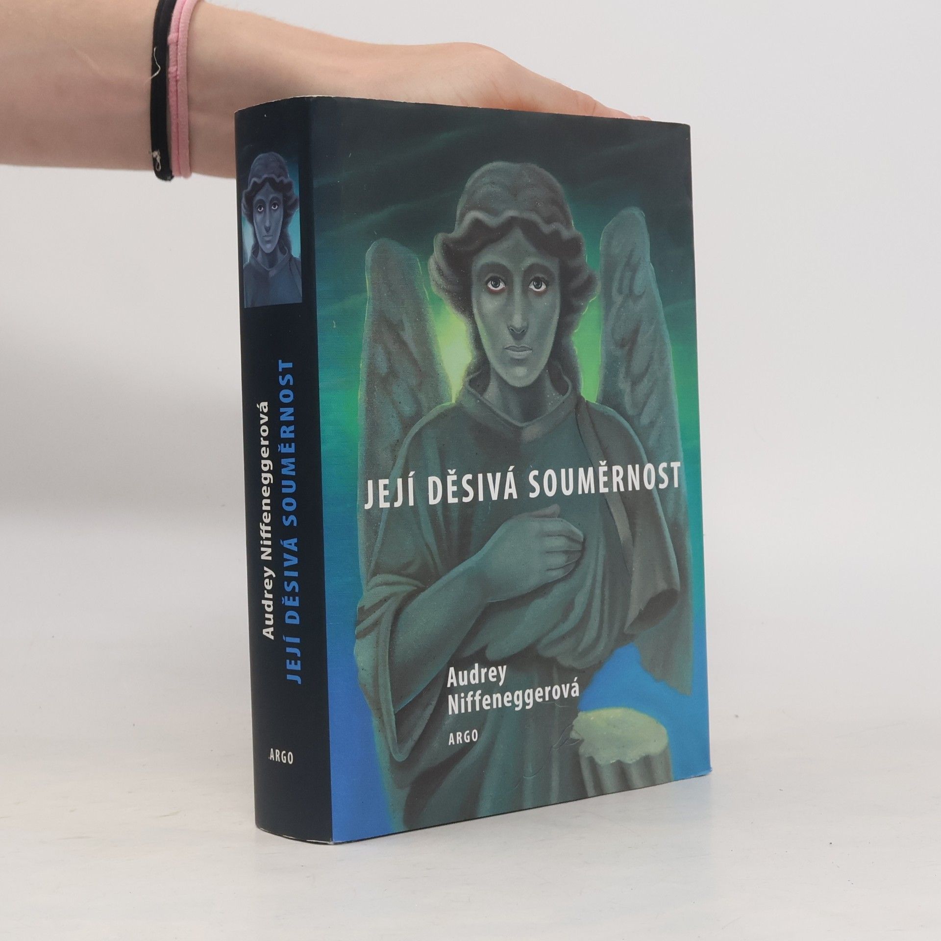 Audrey Niffenegger Její děsivá souměrnost