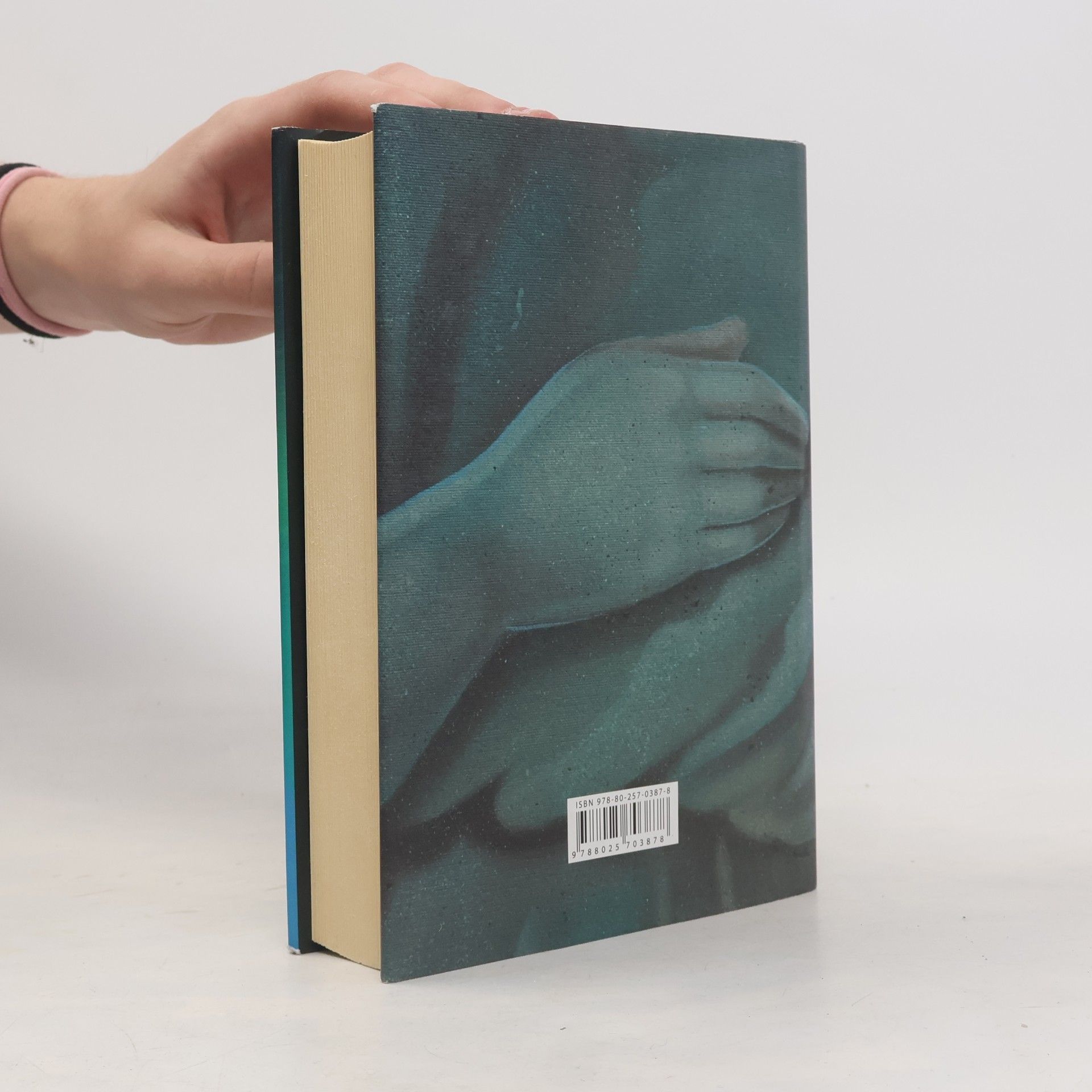 Audrey Niffenegger Její děsivá souměrnost