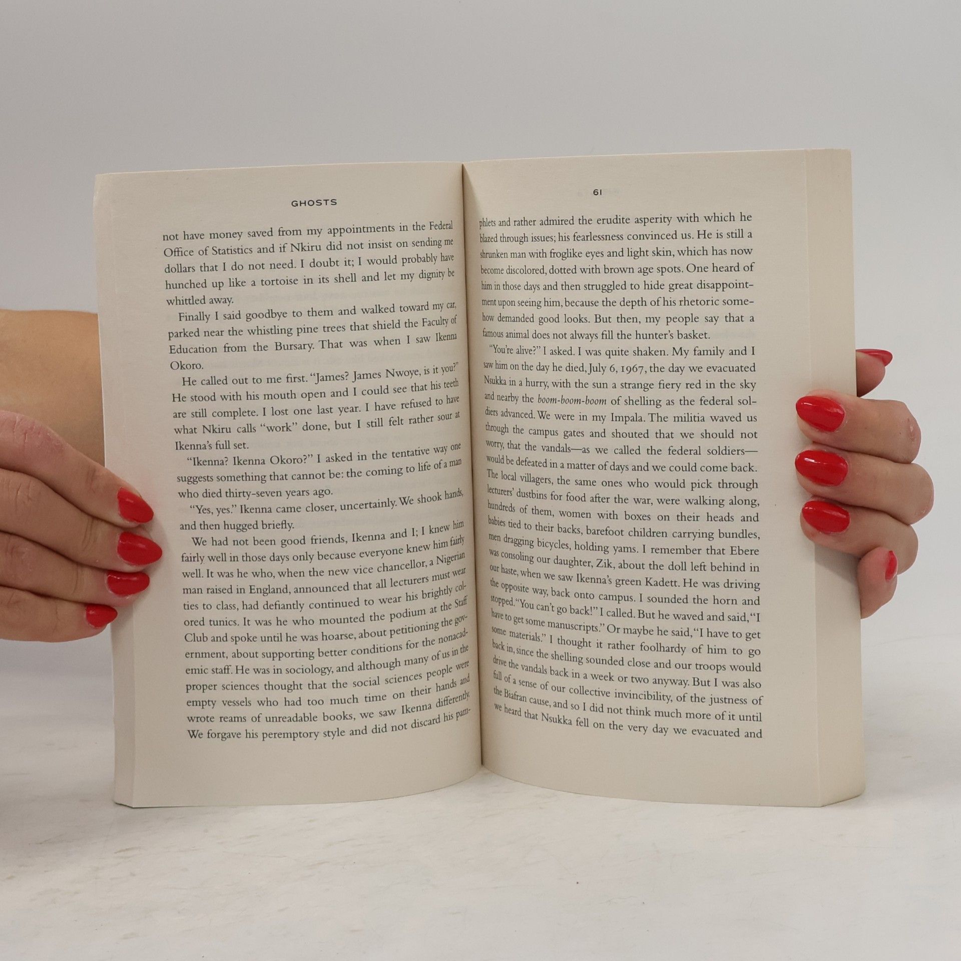 Chimamanda Ngozi Adichie The Thing Around Your Neck