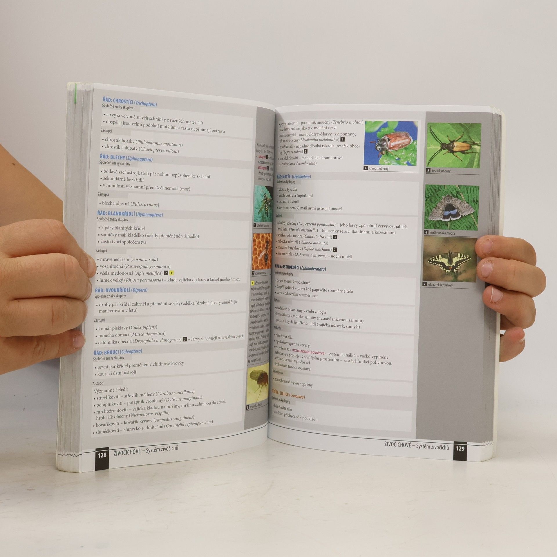 Various authors Odmaturuj! z biologie