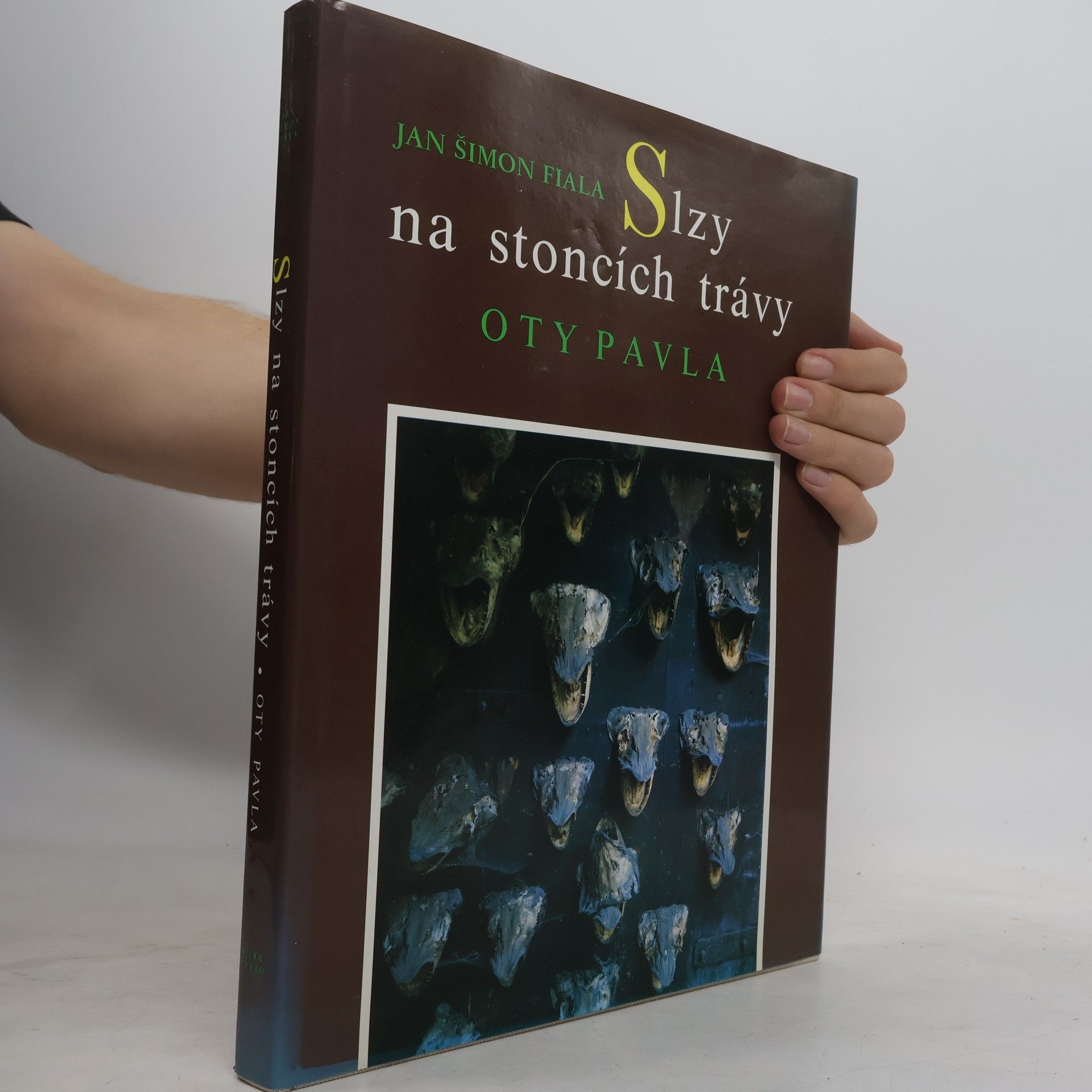Jan Polešovský Slzy na stoncích trávy Oty Pavla