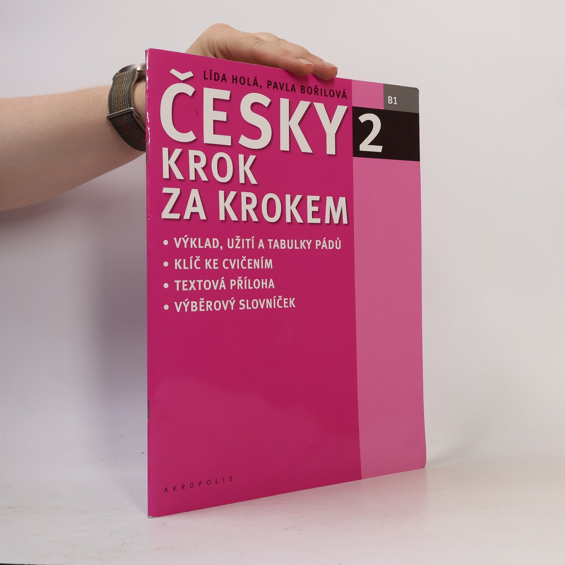 Lída Holá Česky krok za krokem 2. B1 (Příloha)
