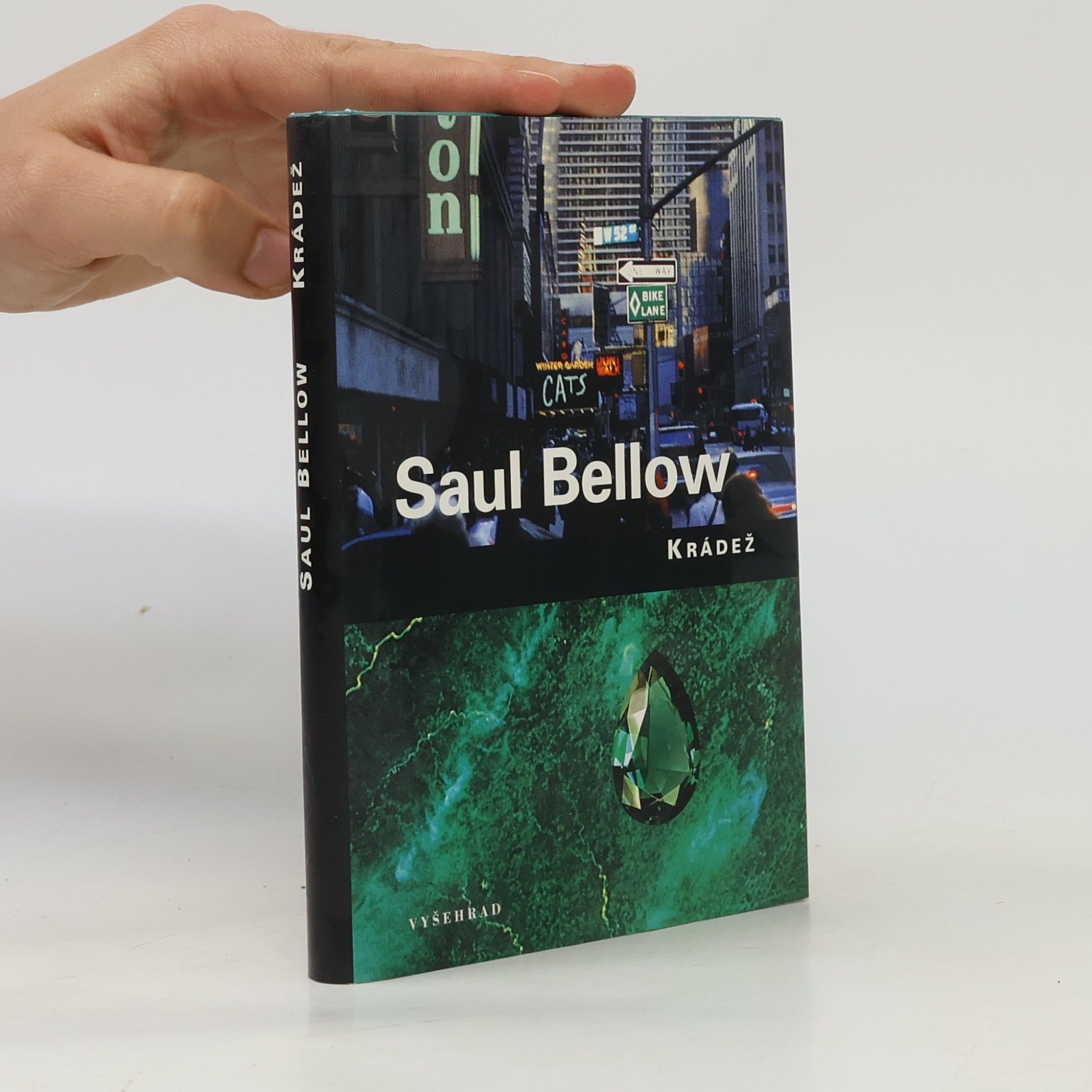 Saul Bellow Krádež