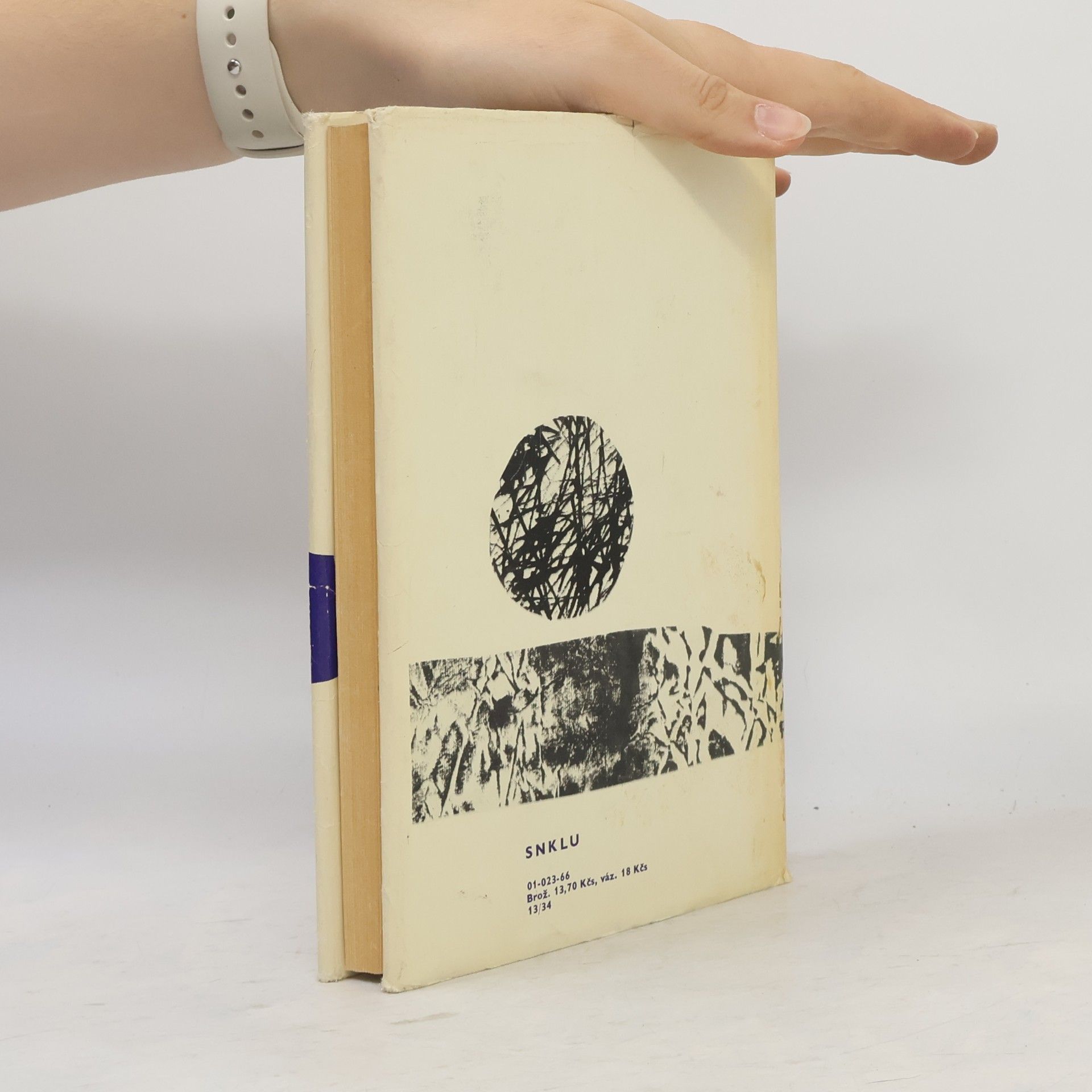 Harper Lee Jako zabít ptáčka
