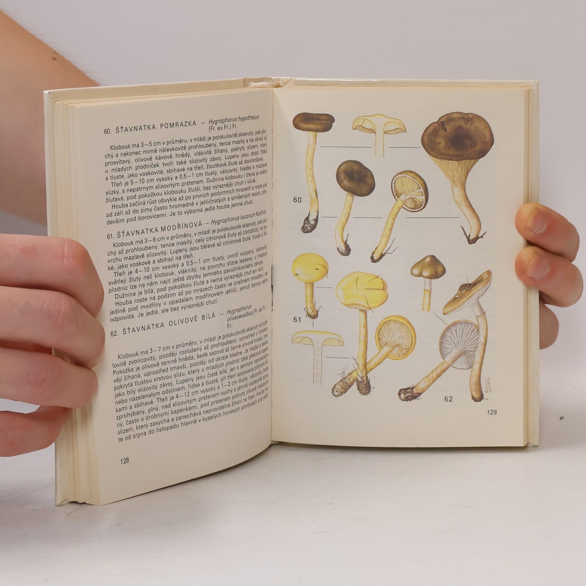Antonín Příhoda Kapesní atlas hub 1