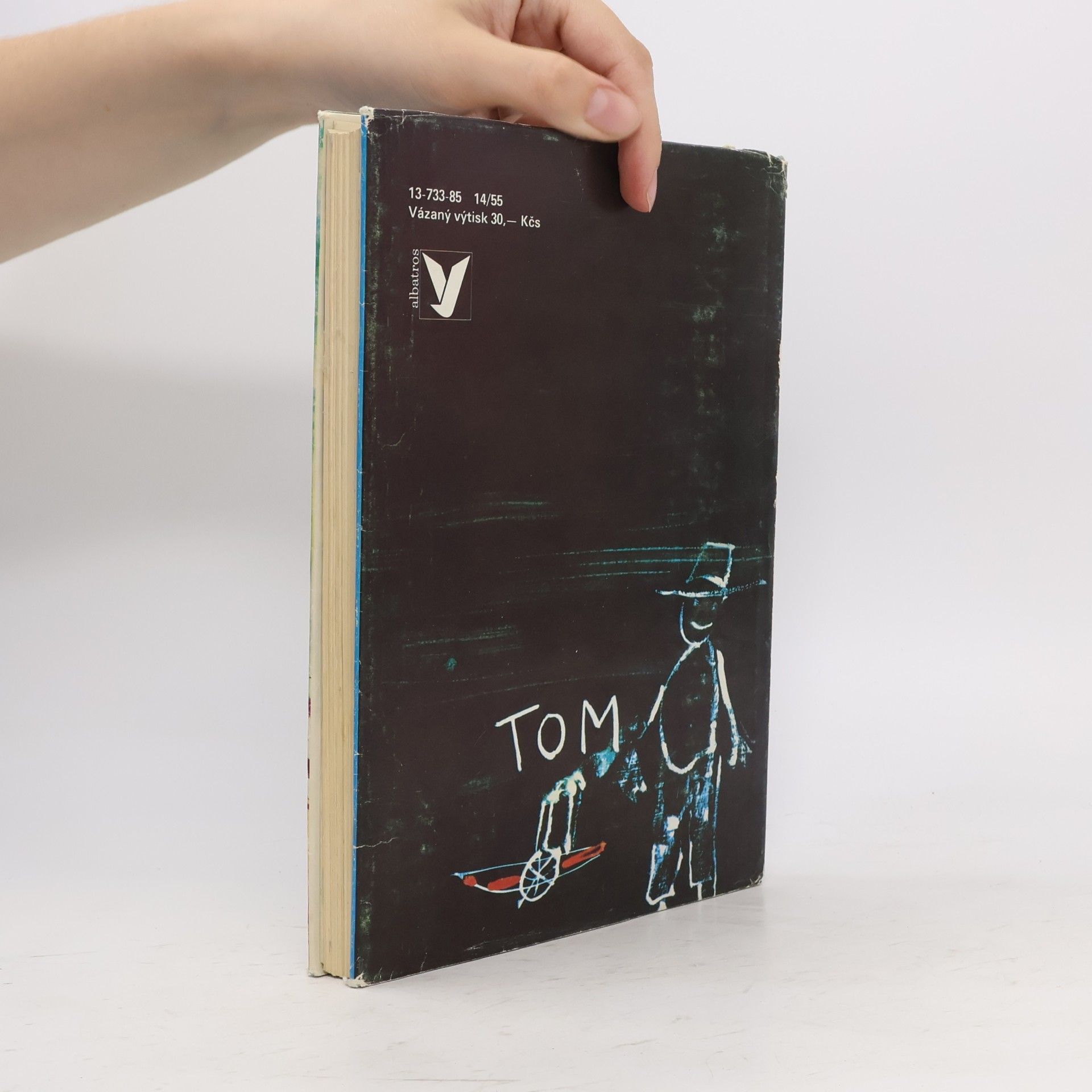 Mark Twain Dobrodružství Toma Sawyera