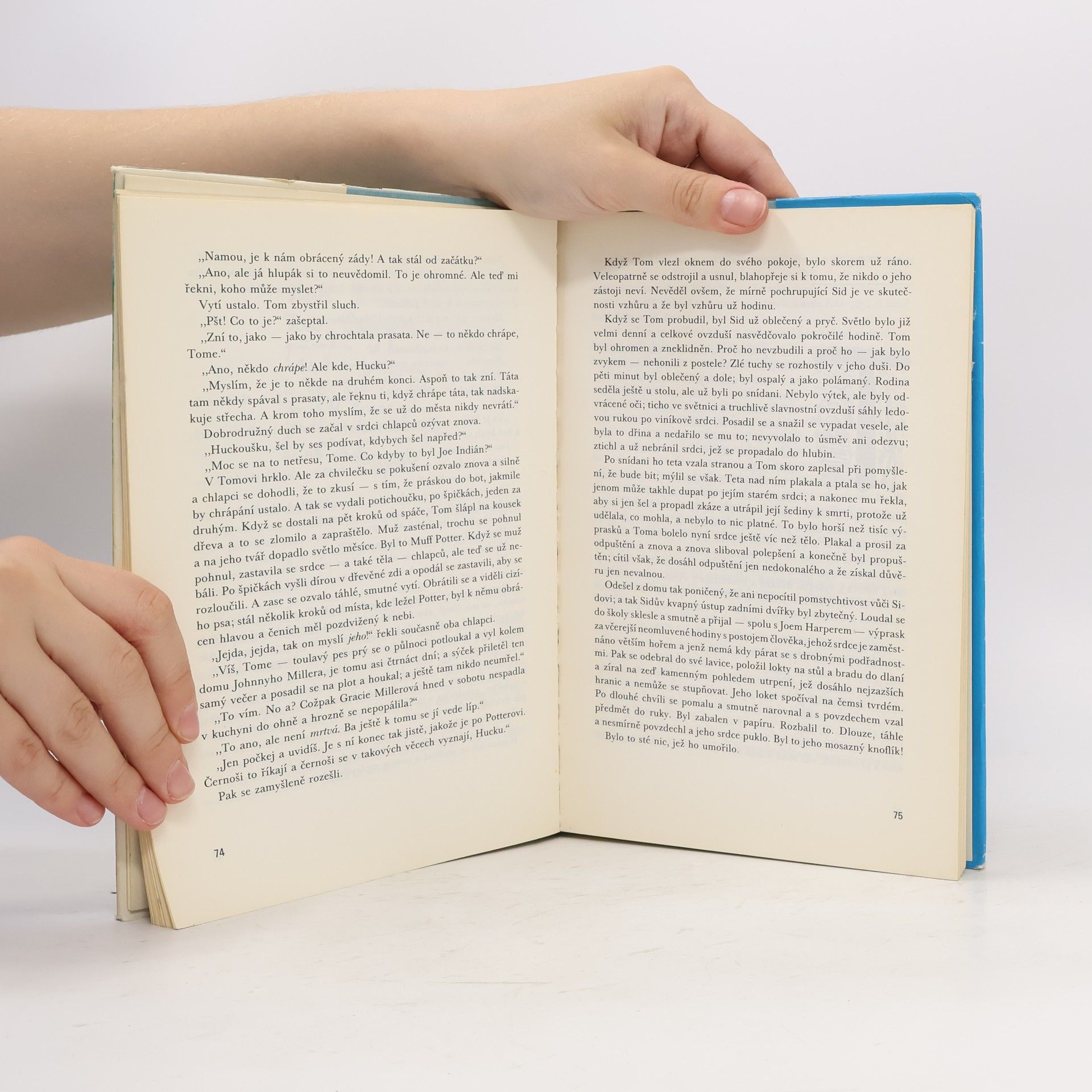 Mark Twain Dobrodružství Toma Sawyera