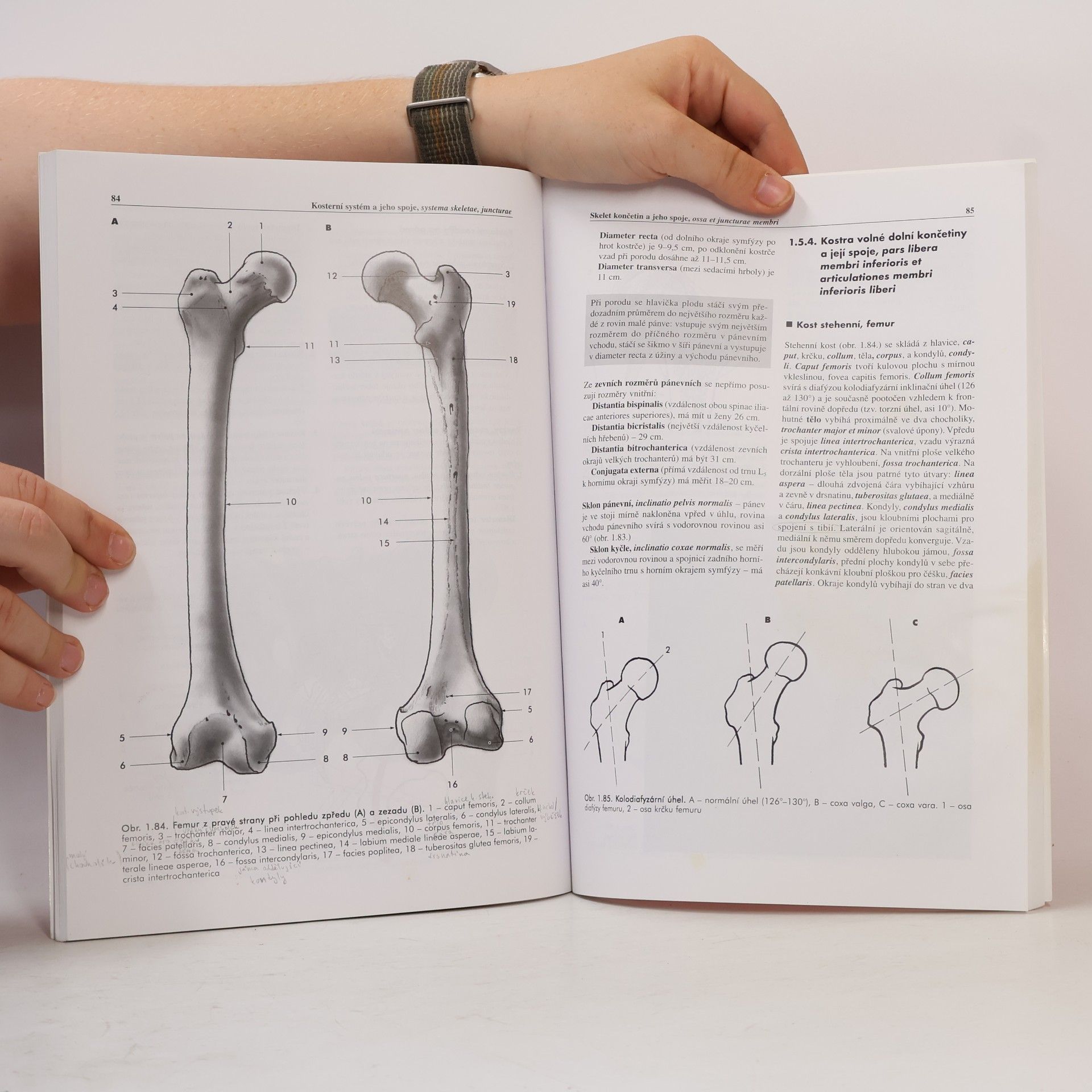 Miloš Grim Základy anatomie 1. Obecná anatomie a pohybový systém