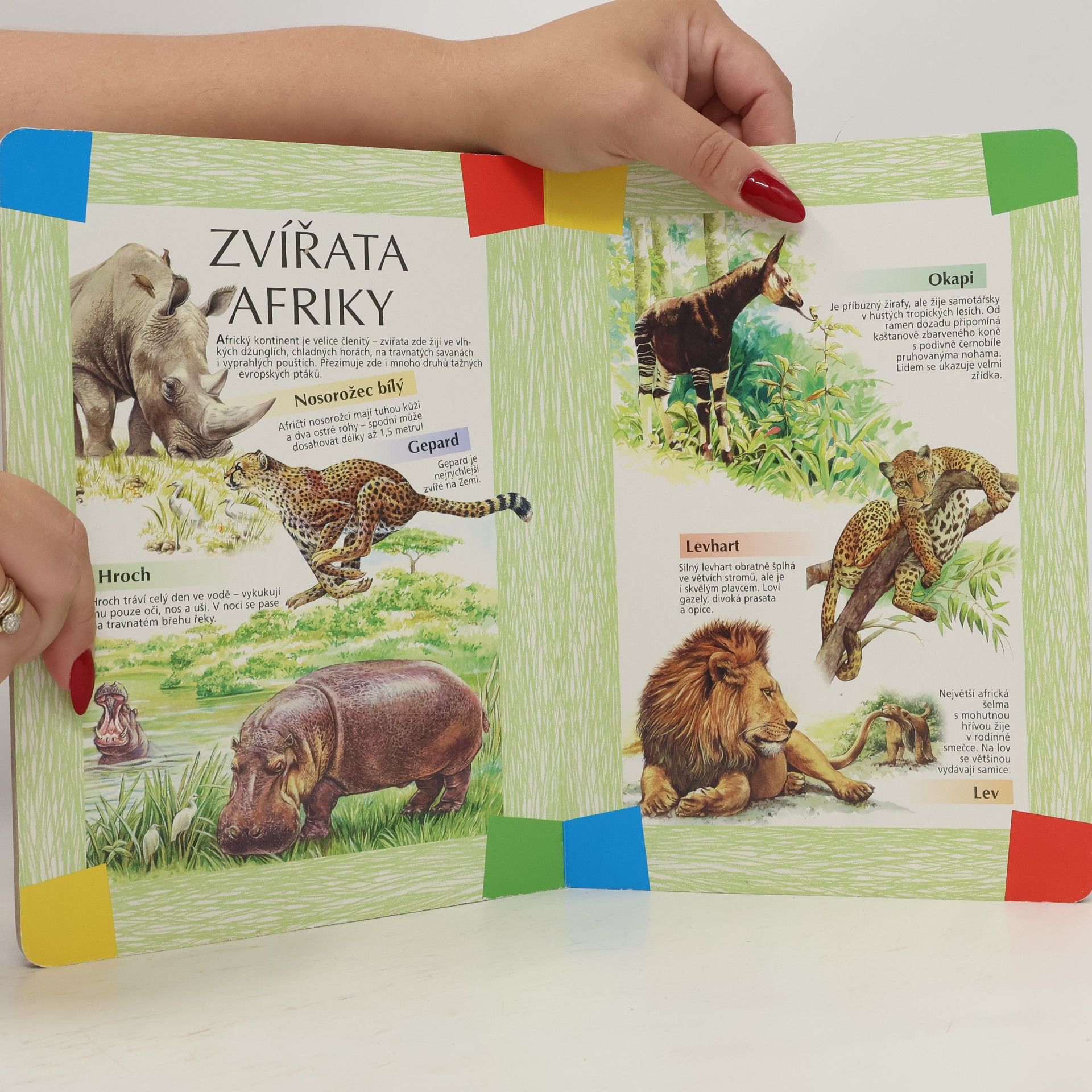 Various authors Můj první atlas zvířat
