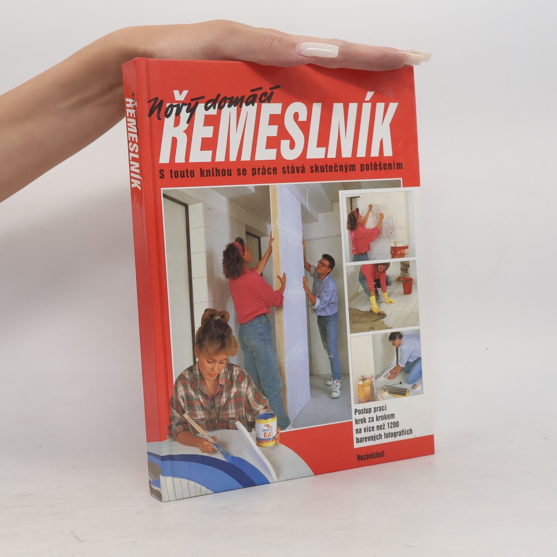 Dieter Rex Nový domácí řemeslník