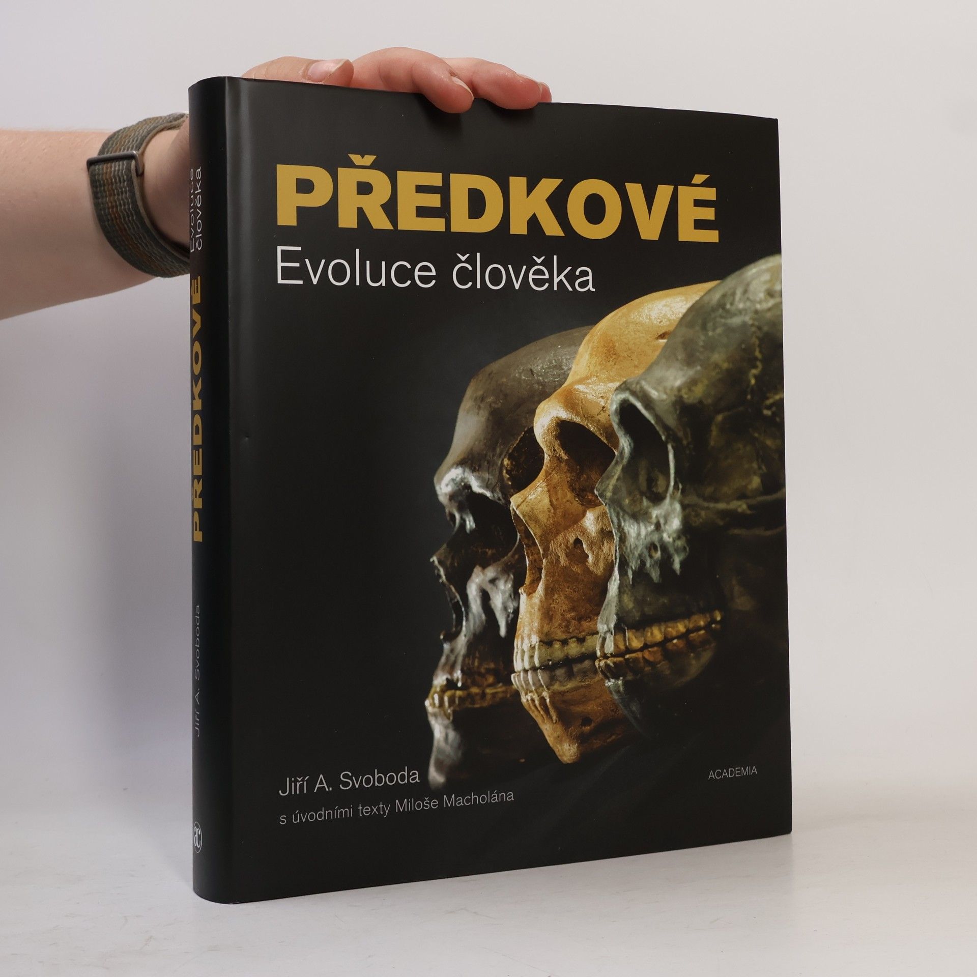 Jiří A. Svoboda Předkové: Evoluce člověka