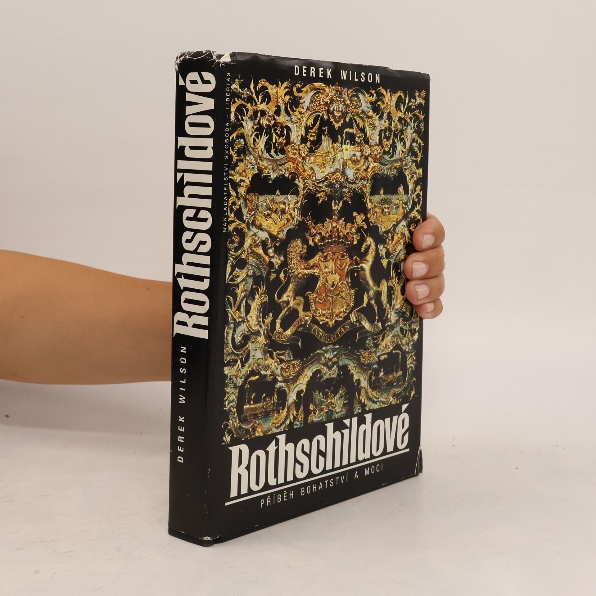 Derek A. Wilson Rothschildové. Příběh bohatství a moci