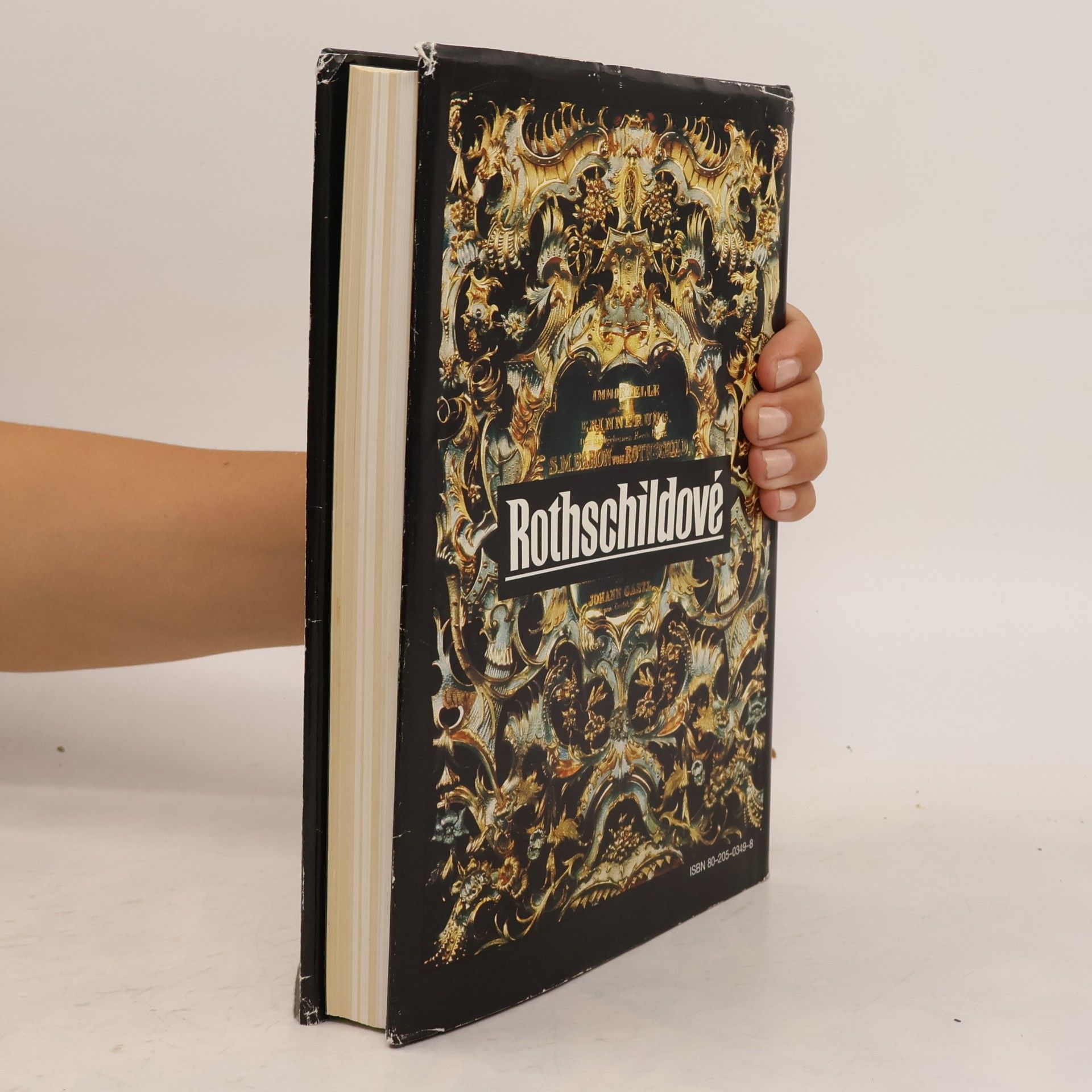 Derek A. Wilson Rothschildové. Příběh bohatství a moci