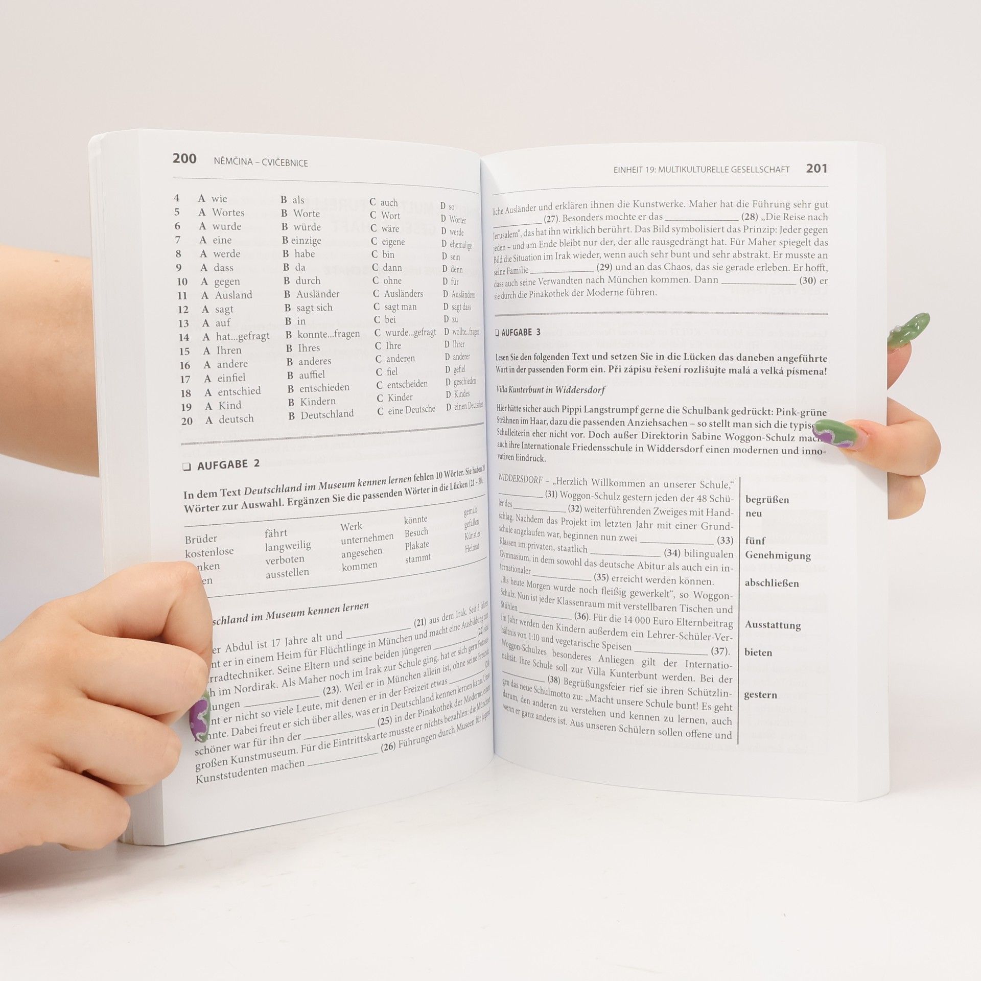 Kolektiv autorů Němčina - maturita - vyšší úroveň