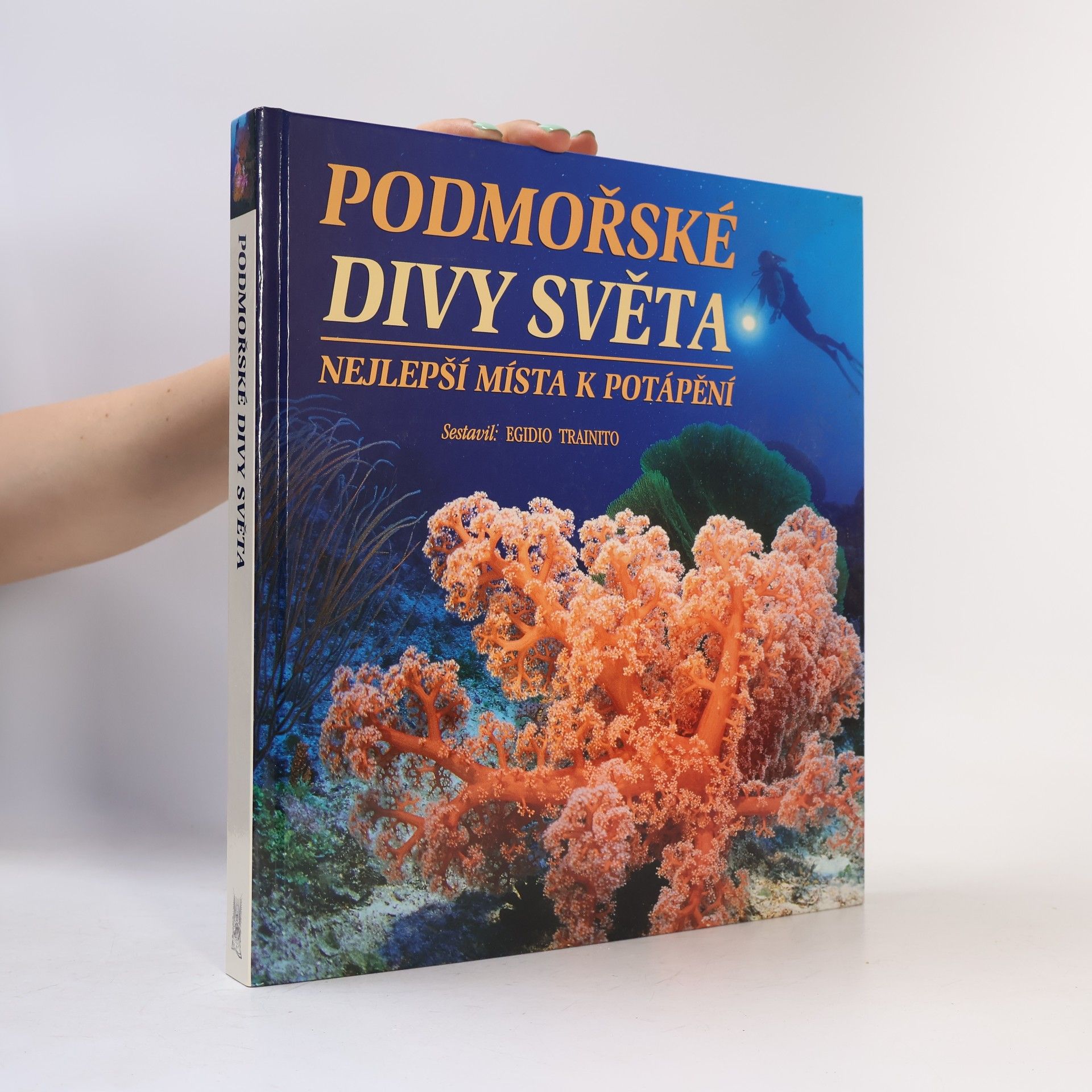 Podmořské divy světa. Nejlepší místa k potápění