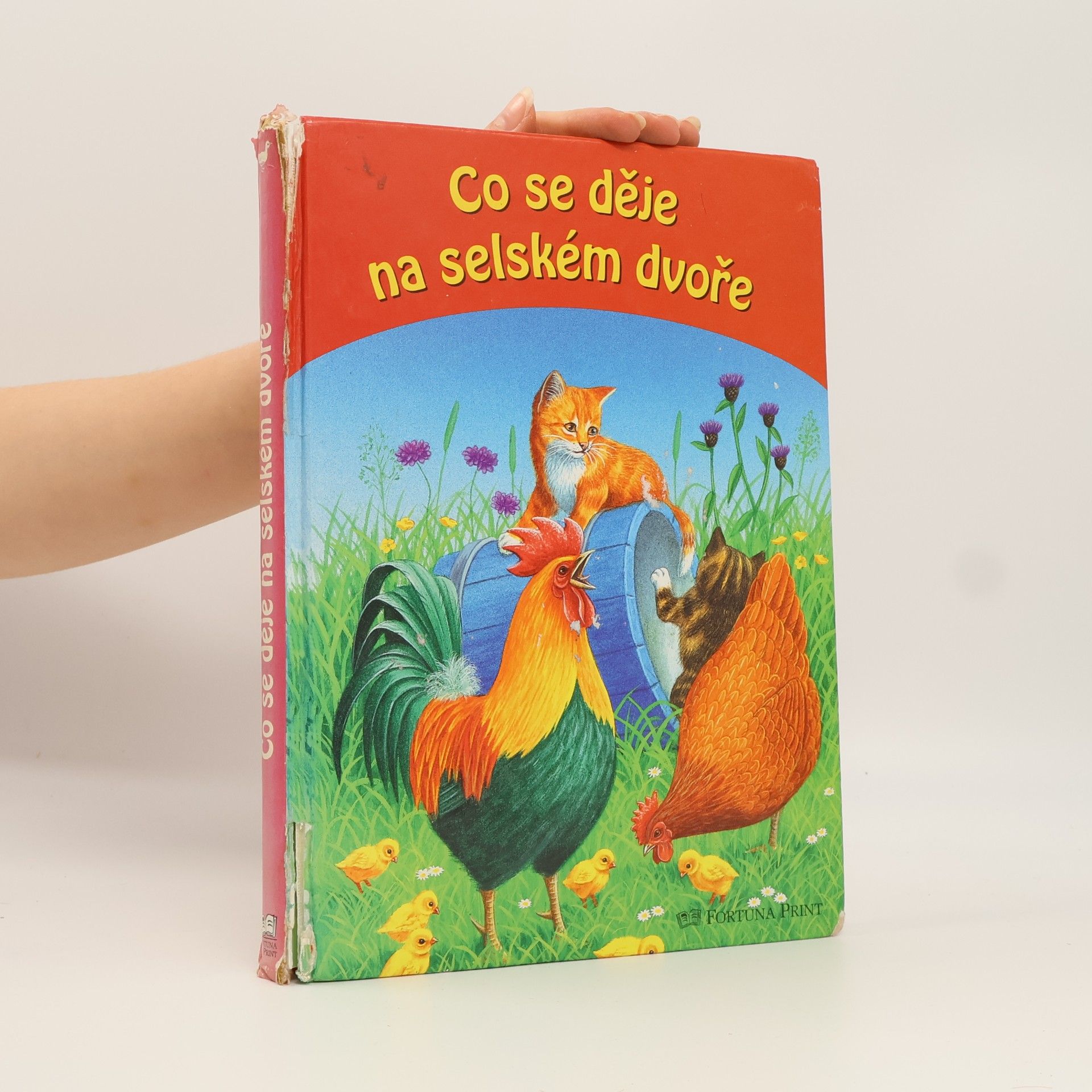 Autorenkollektiv Co se děje na selském dvoře