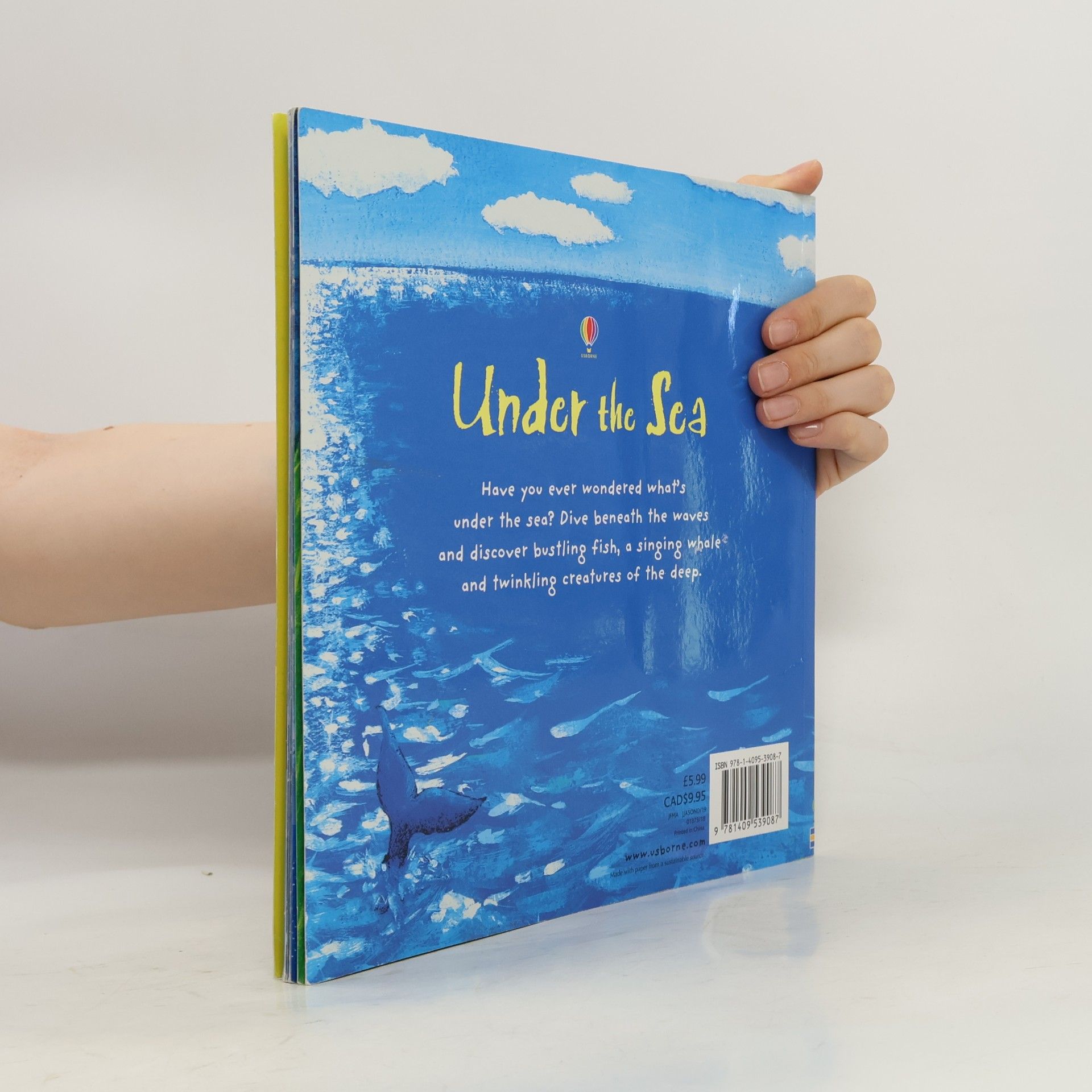 Anna Milbourne Under the Sea