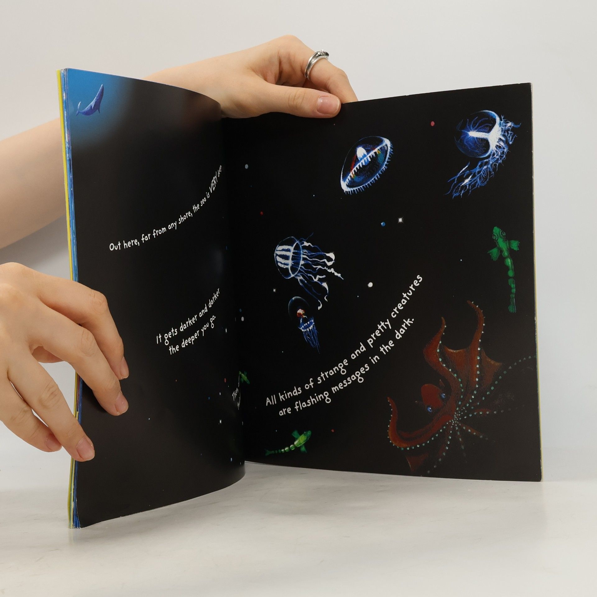 Anna Milbourne Under the Sea