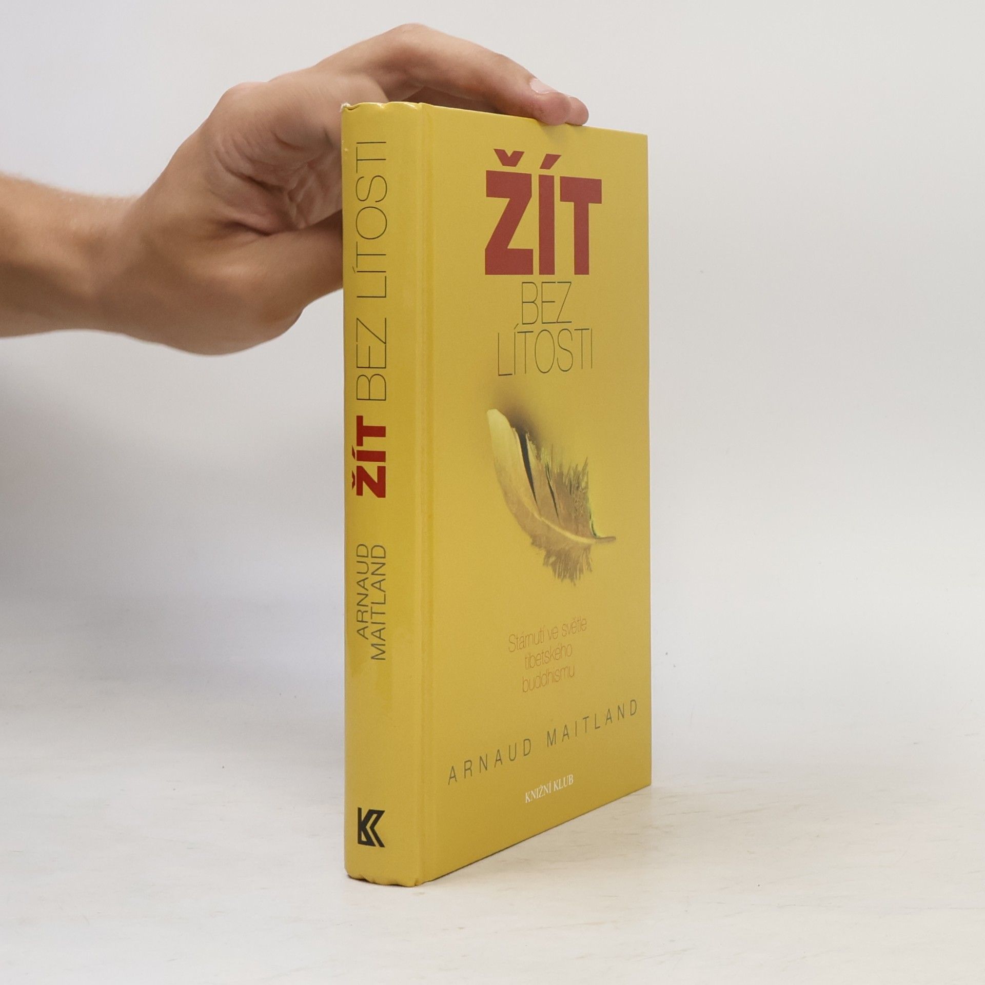 Arnaud Maitland Žít bez lítosti. Stárnutí ve světle tibetského buddhismu