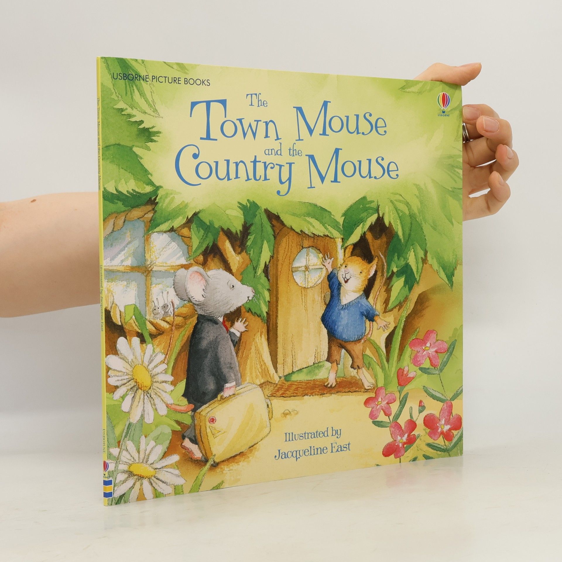 Zanna Davidson The Town Mouse & the Country Mouse