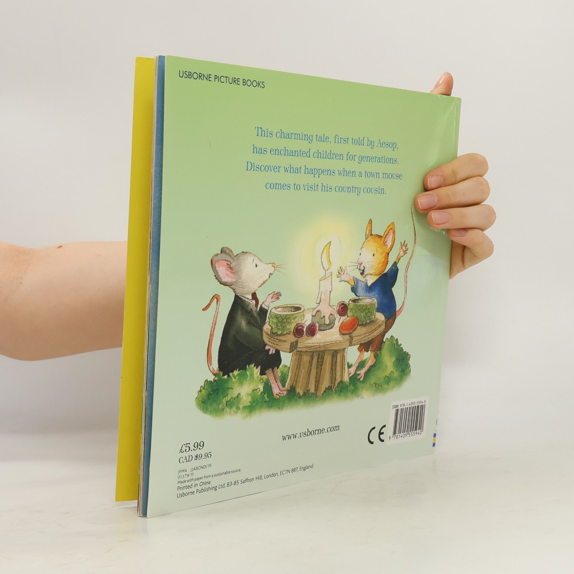 Zanna Davidson The Town Mouse & the Country Mouse