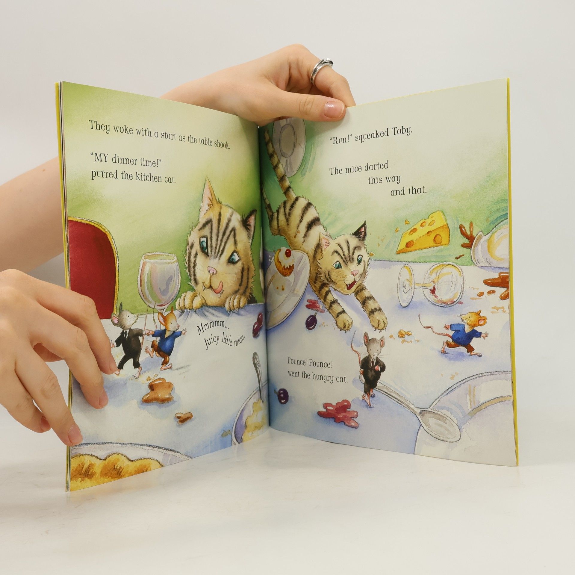 Zanna Davidson The Town Mouse & the Country Mouse