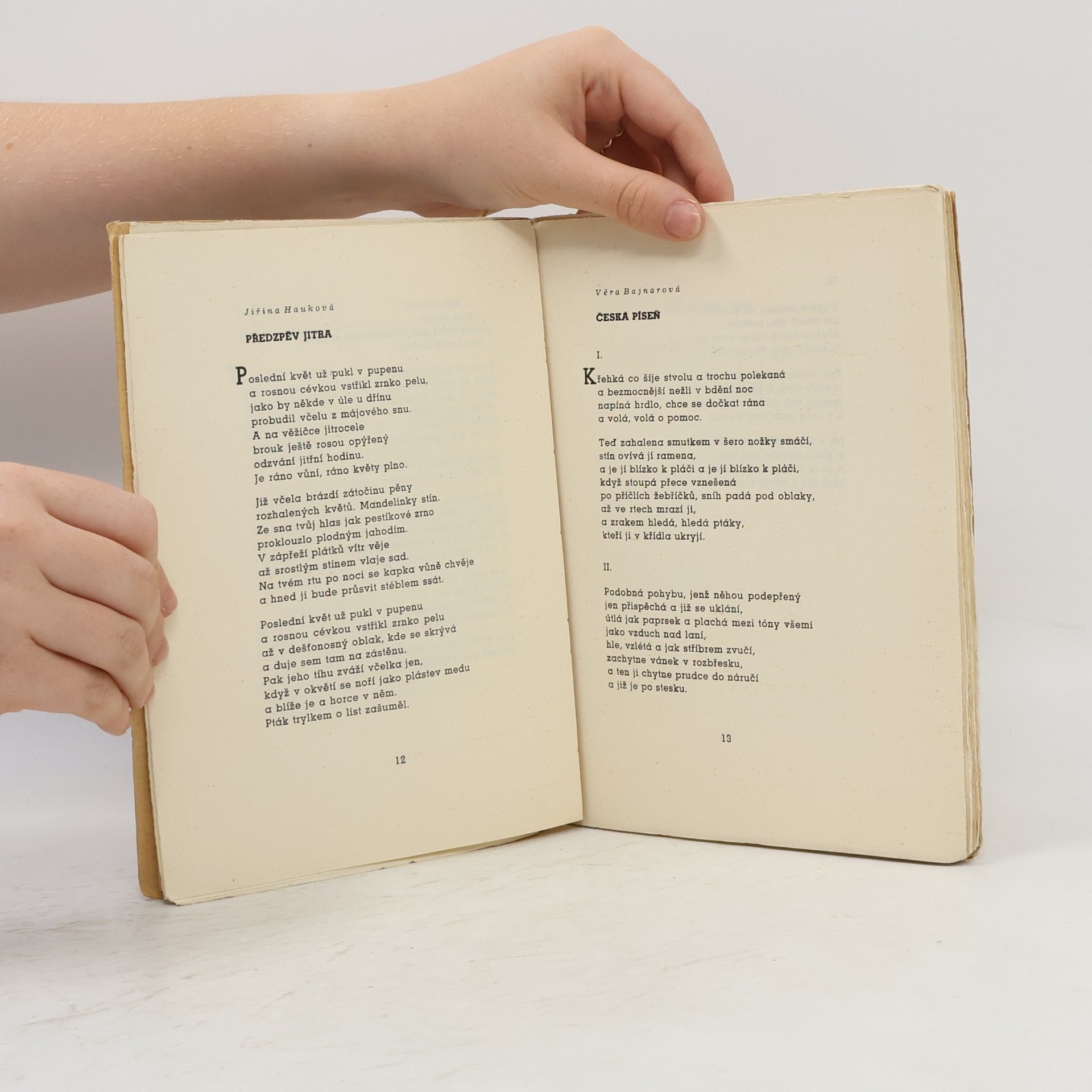 Autorenkollektiv Mladá Morava. Sborník prací nejmladších