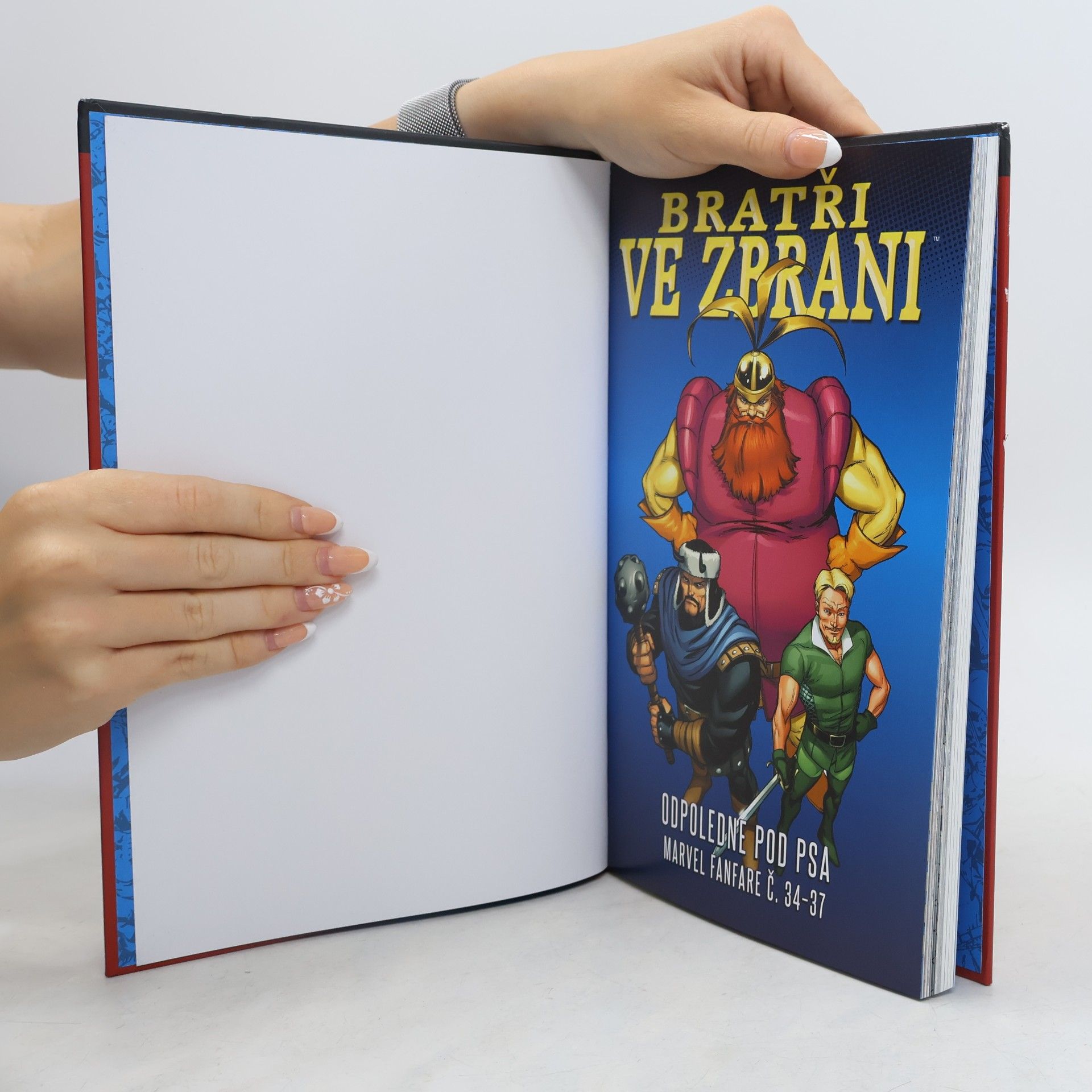 Bill Willingham Nejmocnější hrdinové Marvelu 9. Bratři ve zbrani