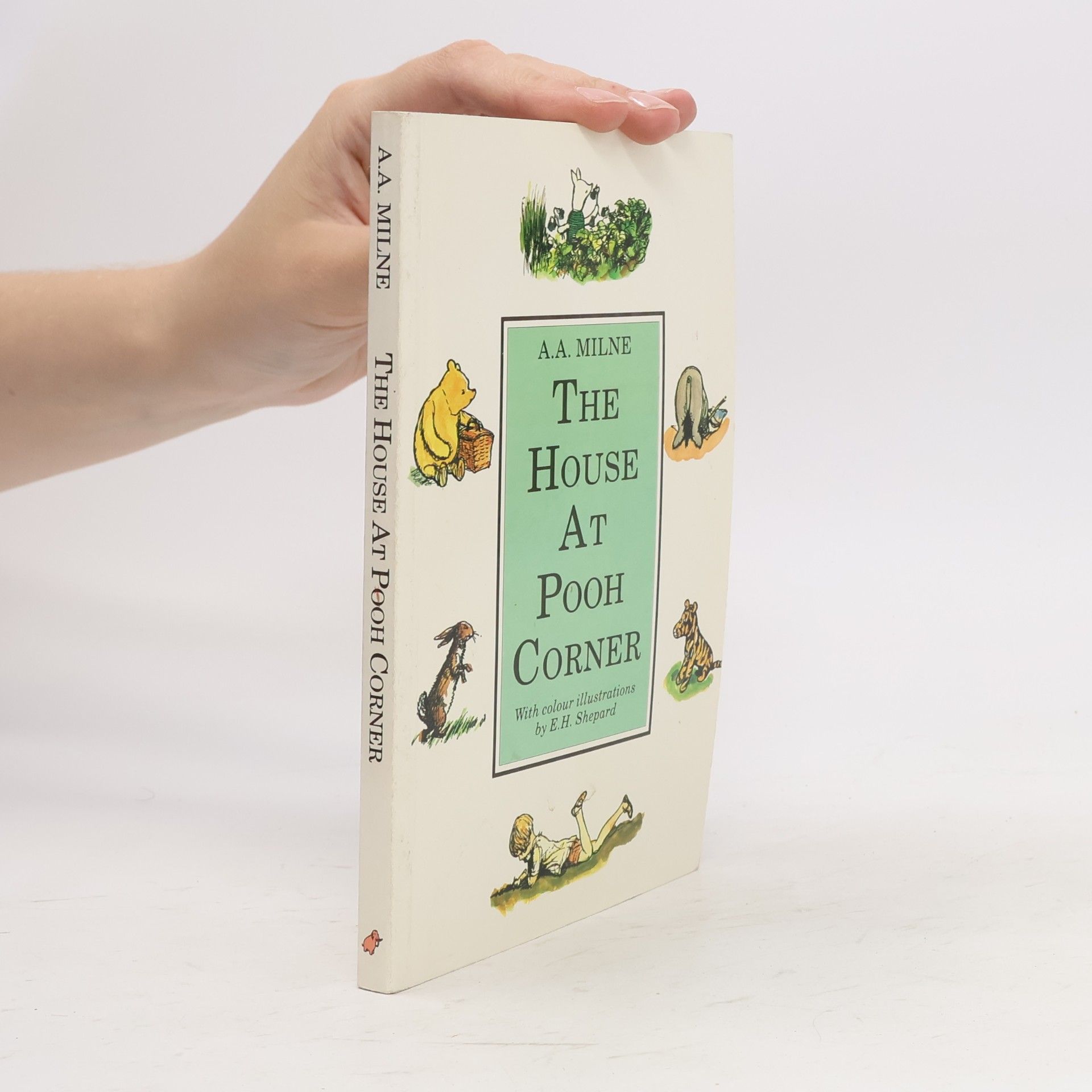 The House at Pooh Corner