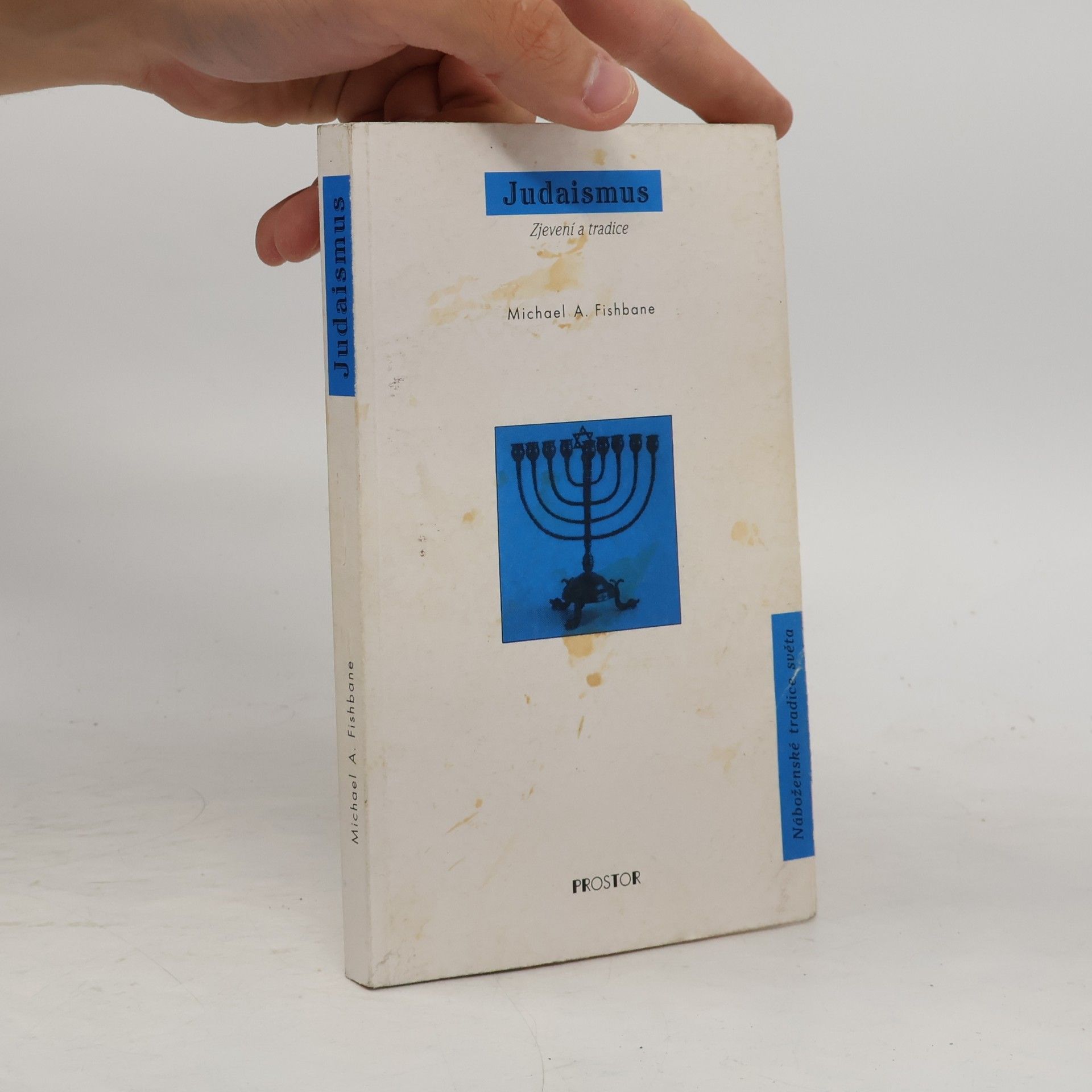 Michael A. Fishbane Judaismusm