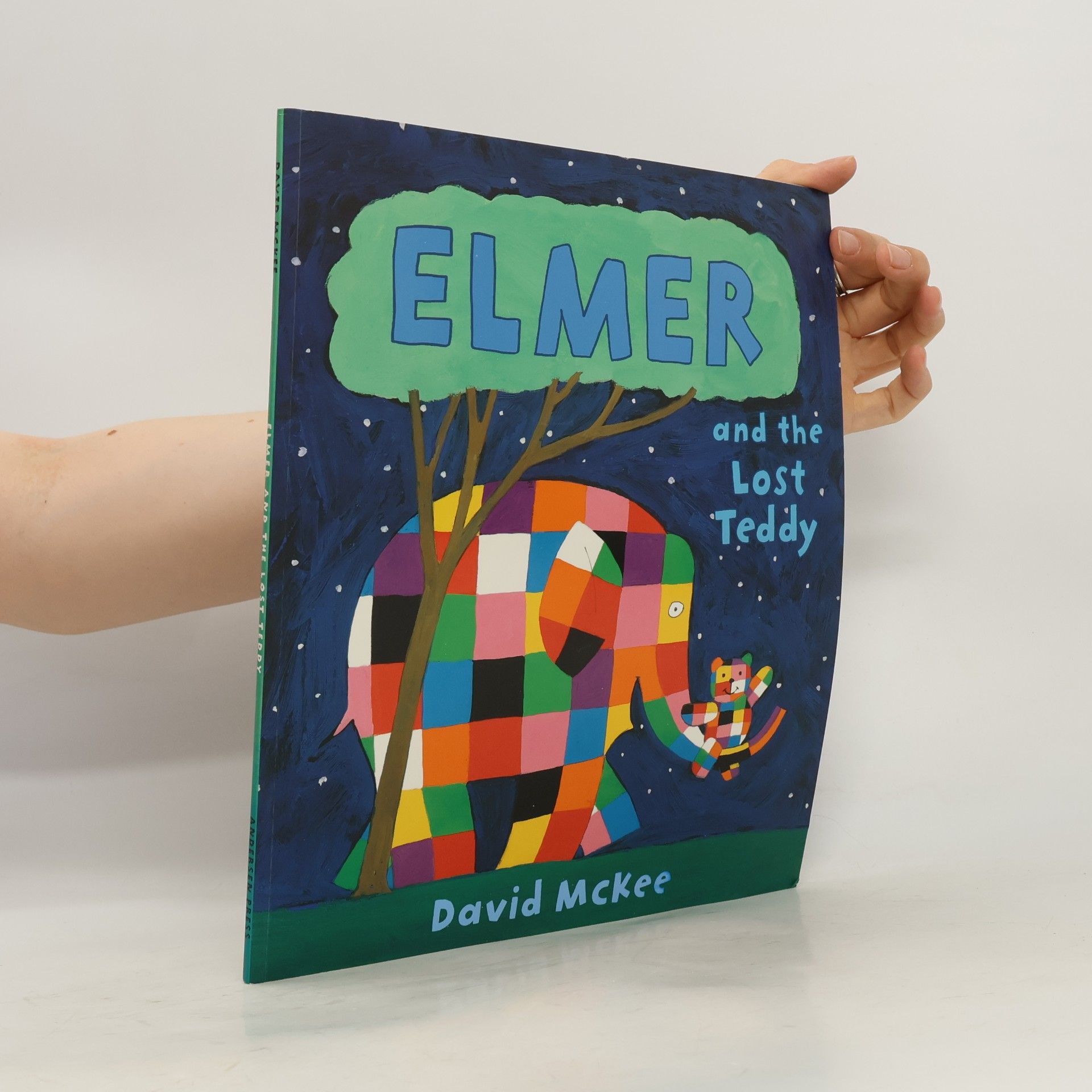 David McKee Elmer and the Lost Teddy
