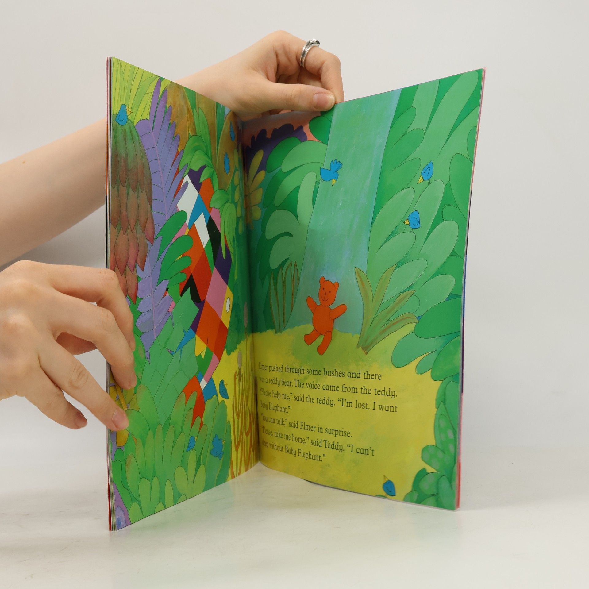 David McKee Elmer and the Lost Teddy
