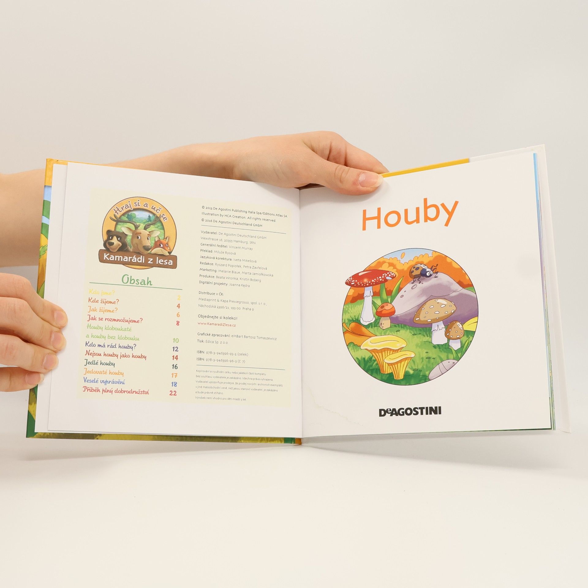 Autorenkollektiv Tajemství lesa 7. Houby