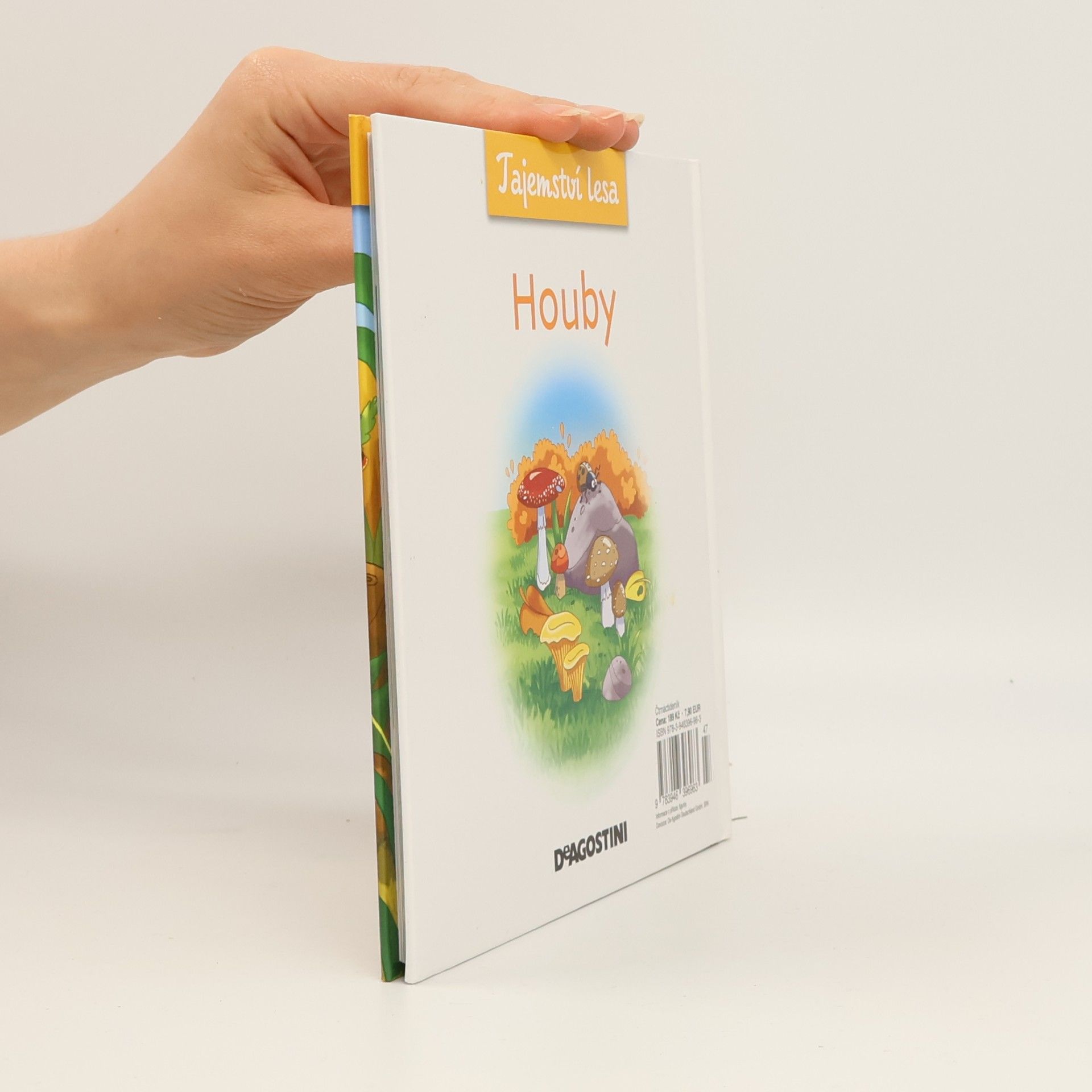 Autorenkollektiv Tajemství lesa 7. Houby