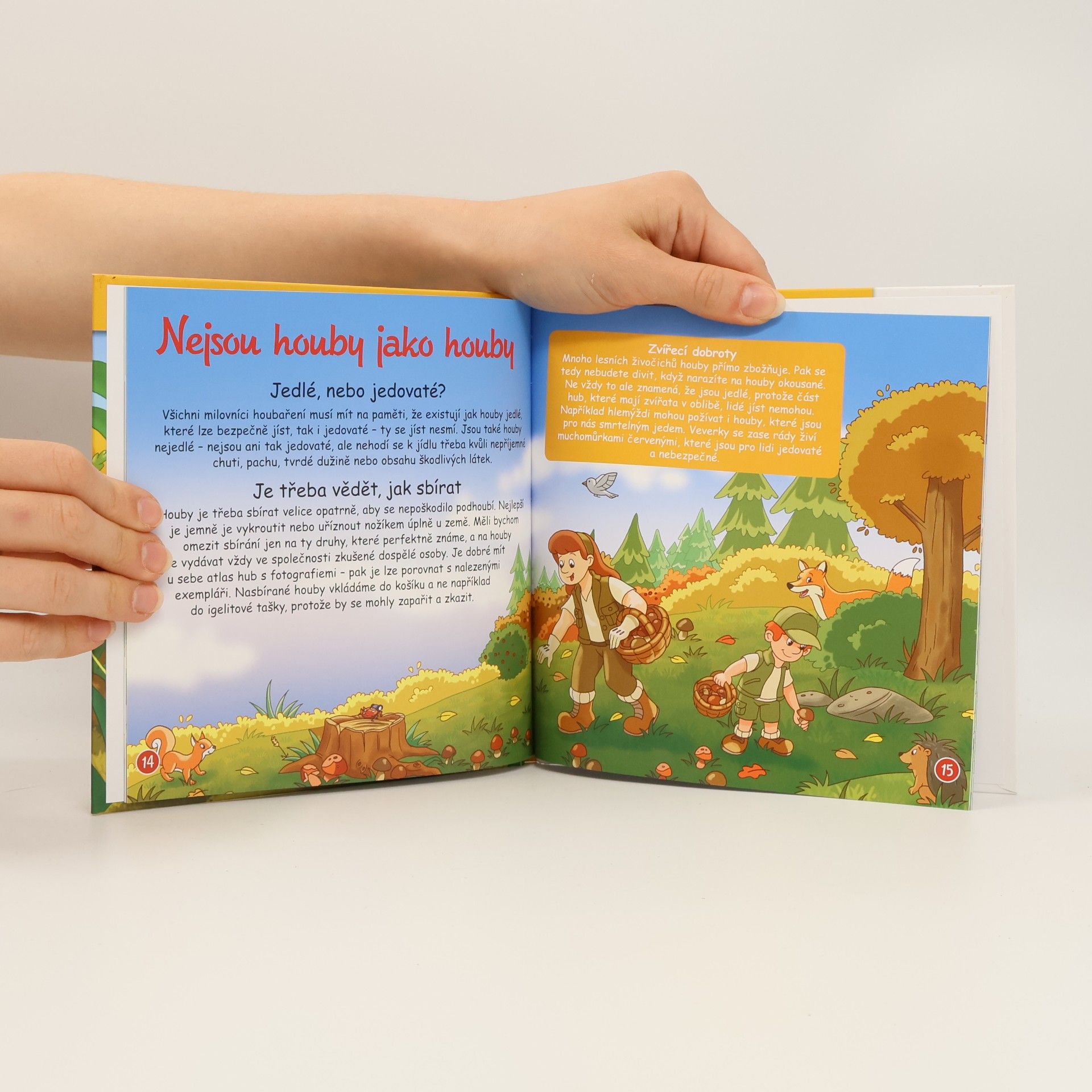 Autorenkollektiv Tajemství lesa 7. Houby