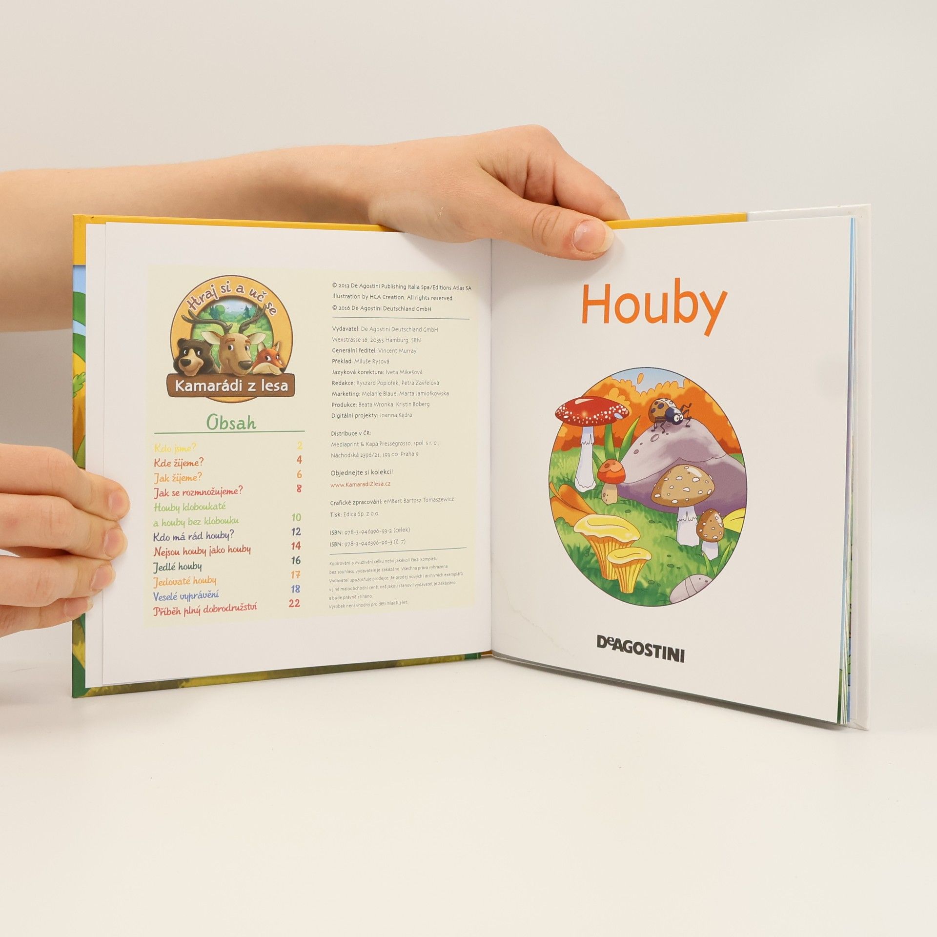 Autorenkollektiv Tajemství lesa 7. Houby