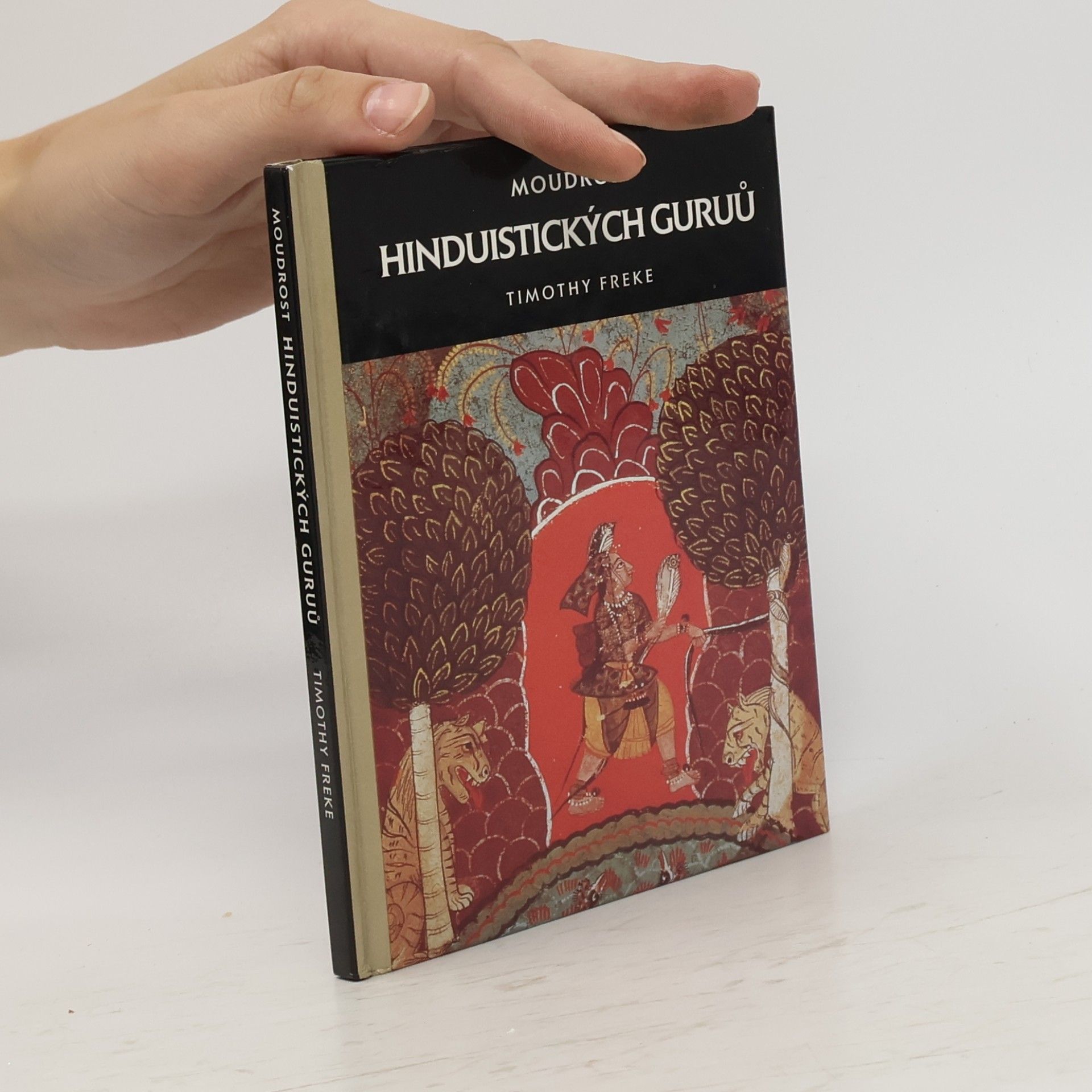 Aleš Adámek Moudrost hinduistických guruů