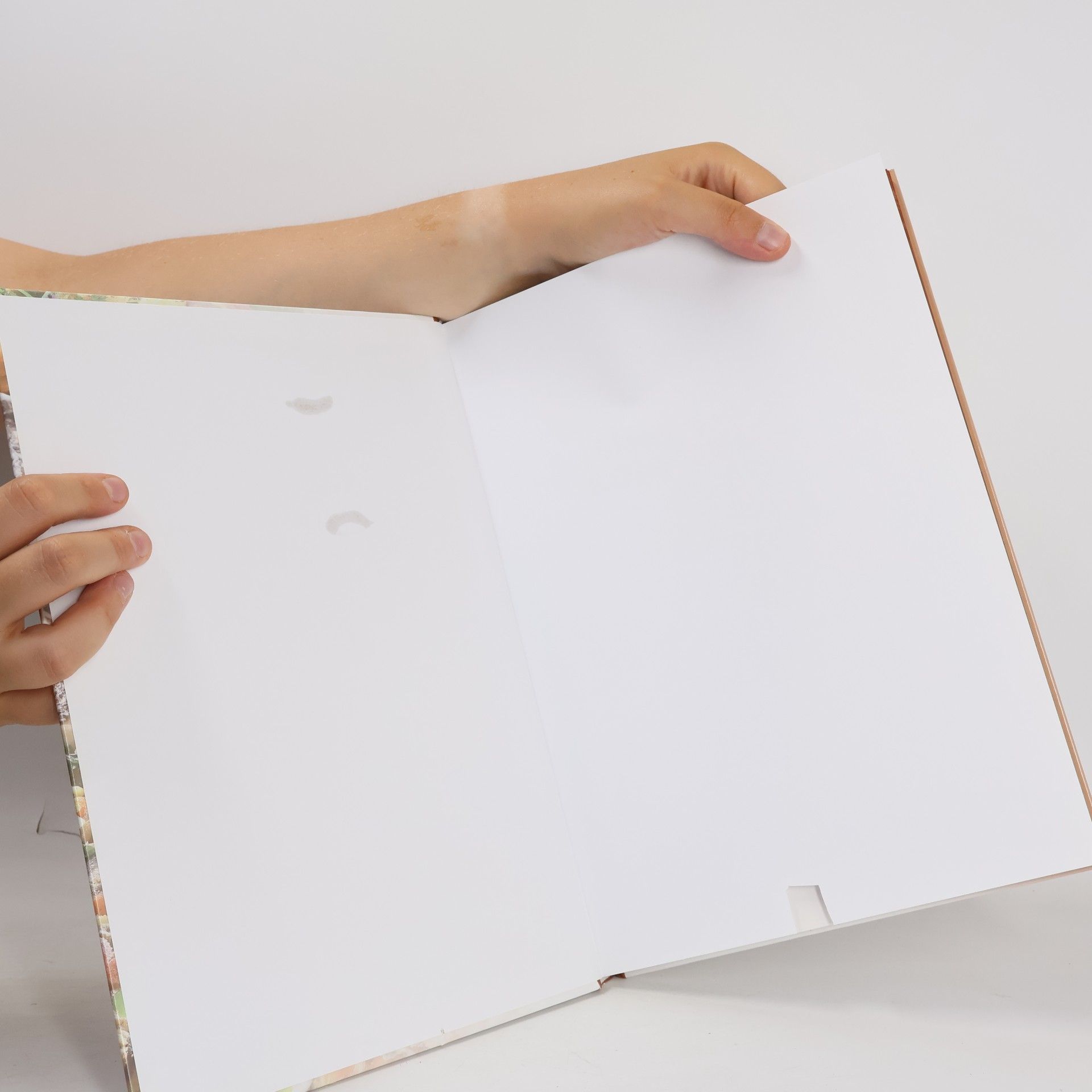 Šárka Vaiglová Slané a sladké koláče a pizzy