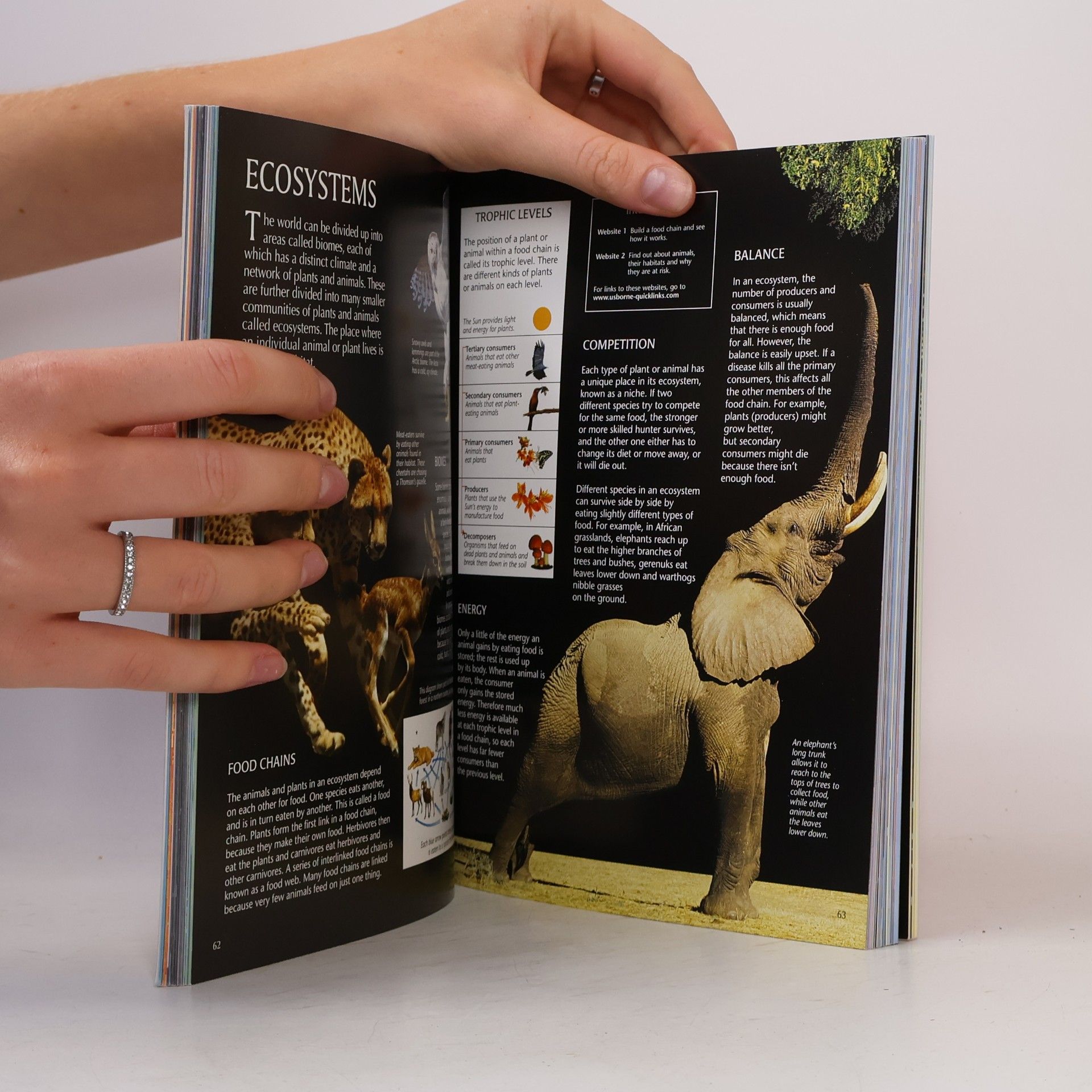 Jane Bingham The Usborne Book of Knowledge