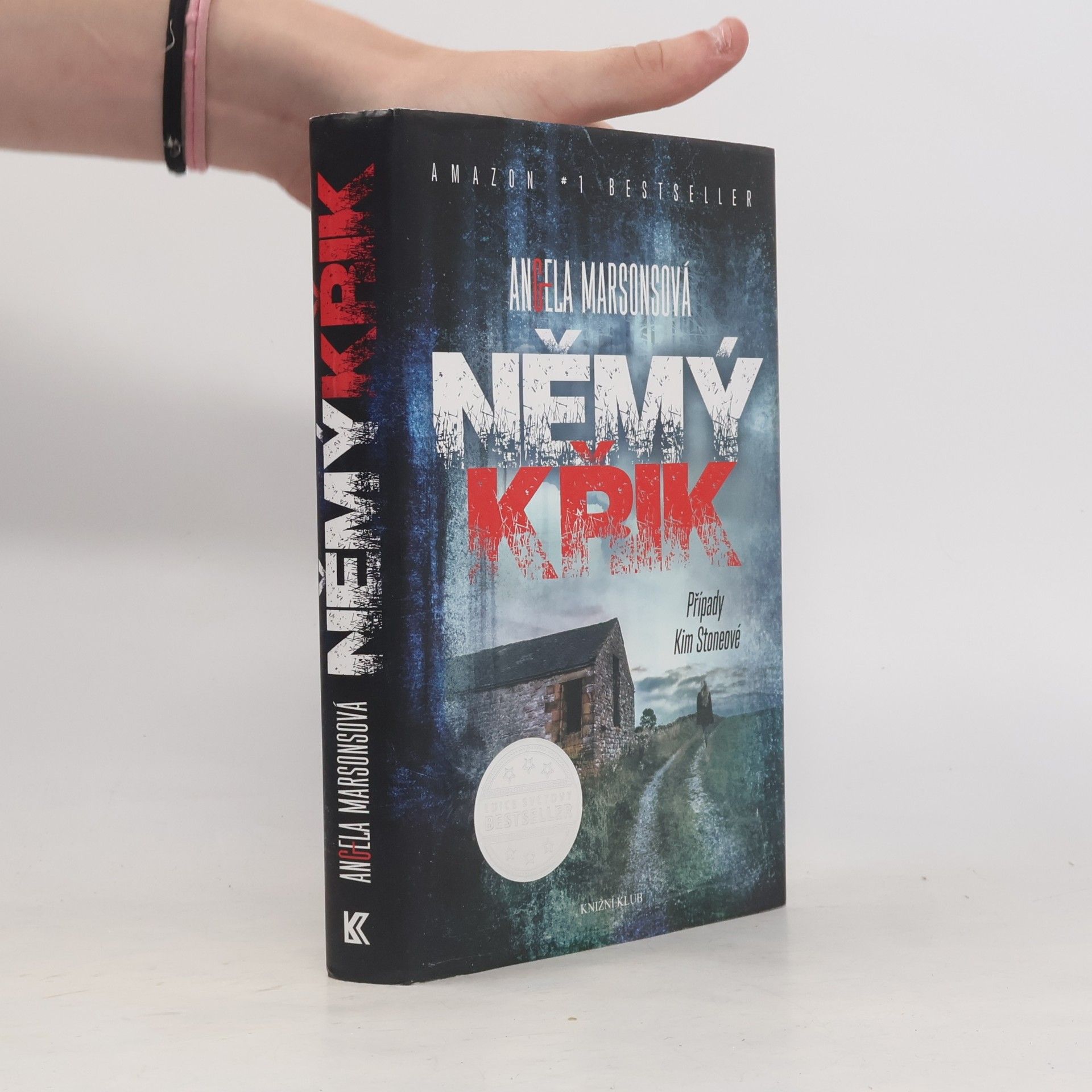 Angela Marsons Němý křik