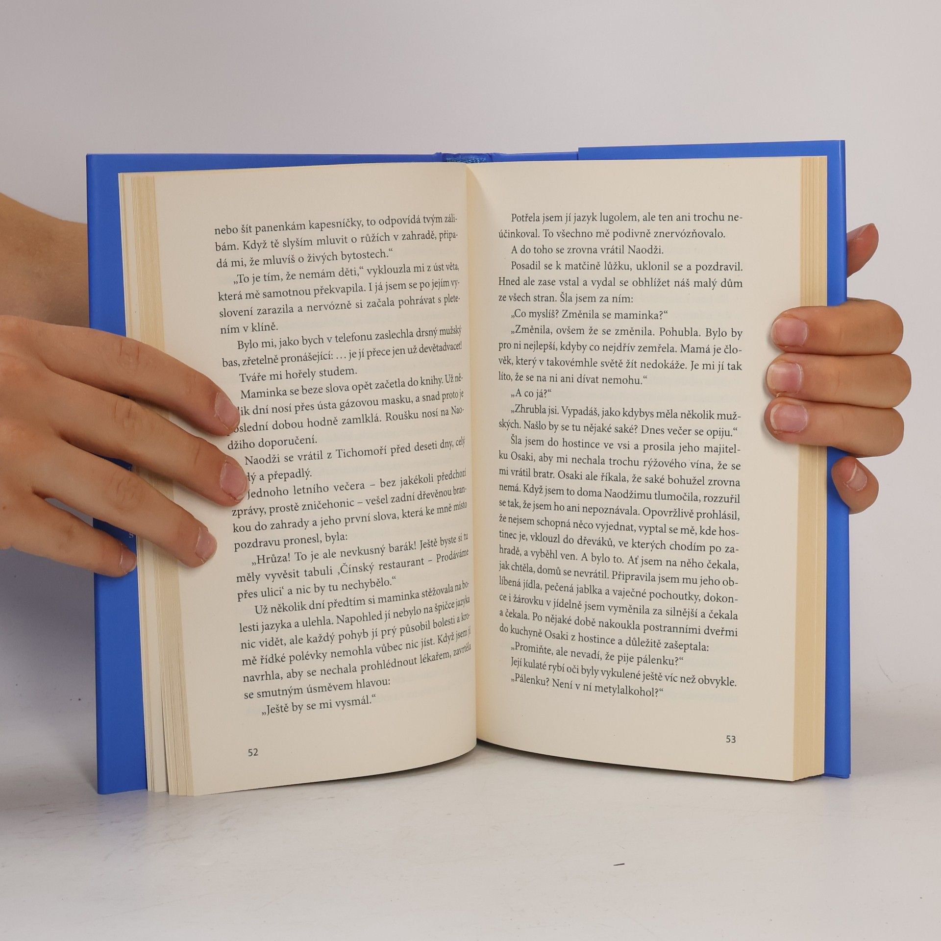 Osamu Dazai Zapadající slunce