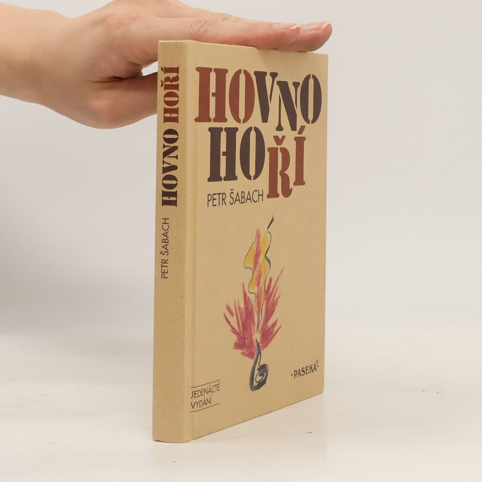 Petr Šabach Hovno hoří