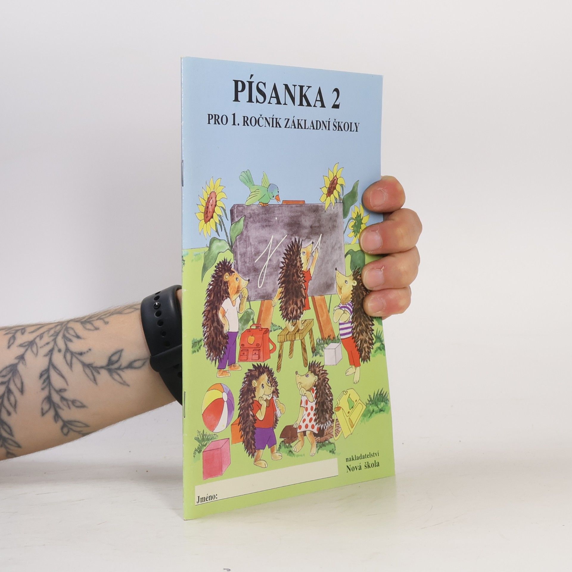 Collectif d'auteurs Písanka 2 pro 1. ročník základní školy